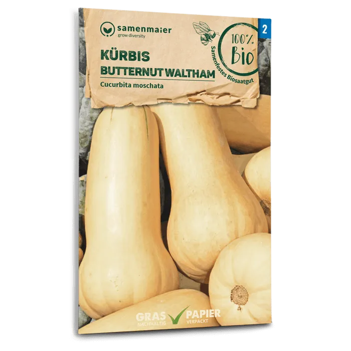 plantura-bio-k-rbis-butternut-waltham-bio-saatgut image 1