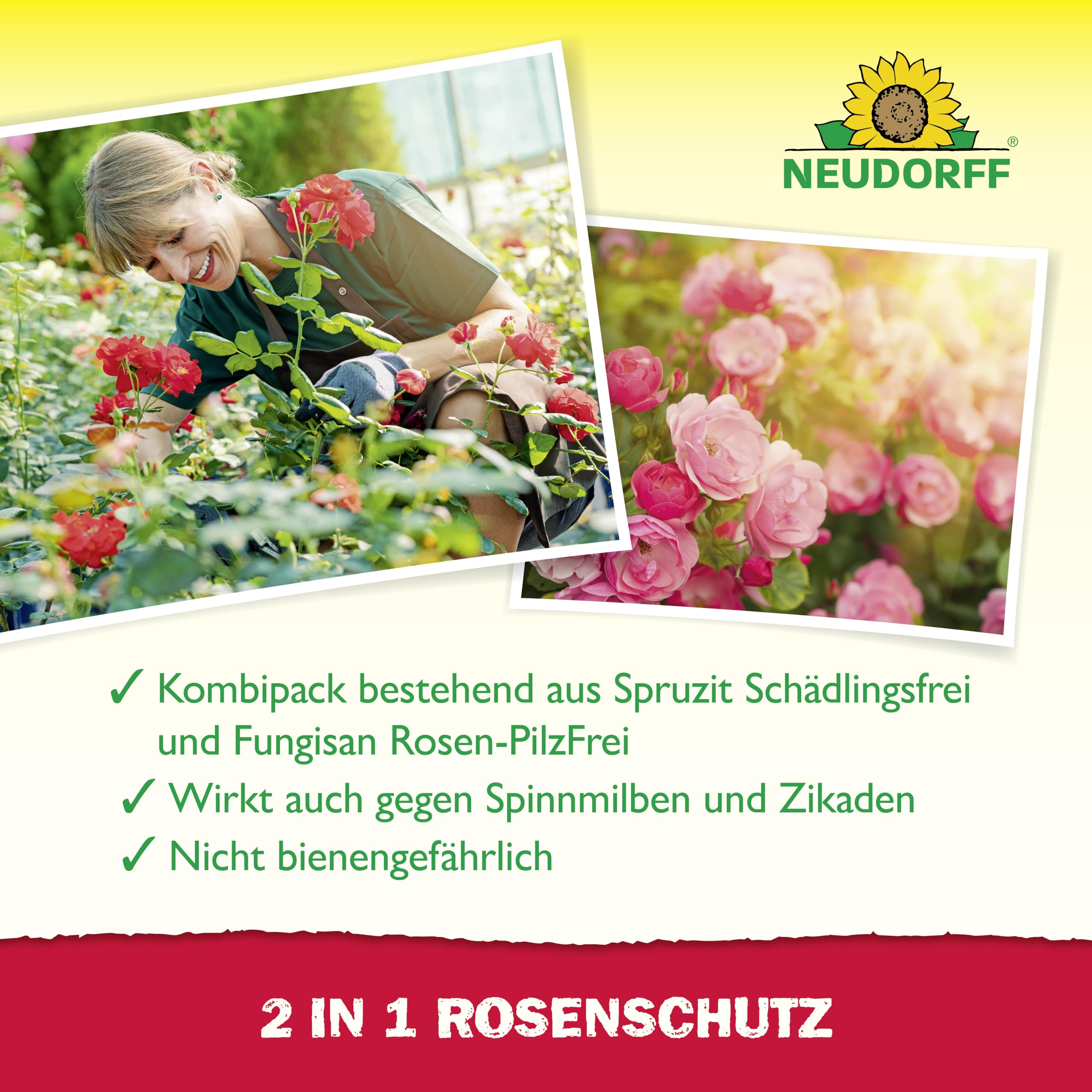 neudorff-2-in-1-rosenschutz-kombipack-sch-dlingsfrei-rosen-pilzfrei-f-r-10-liter image 4