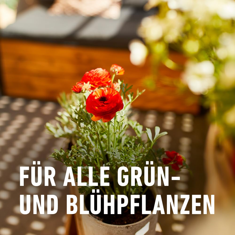 compo-gr-n-und-bl-hpflanzen-sch-dlings-frei-af-750-ml image 5