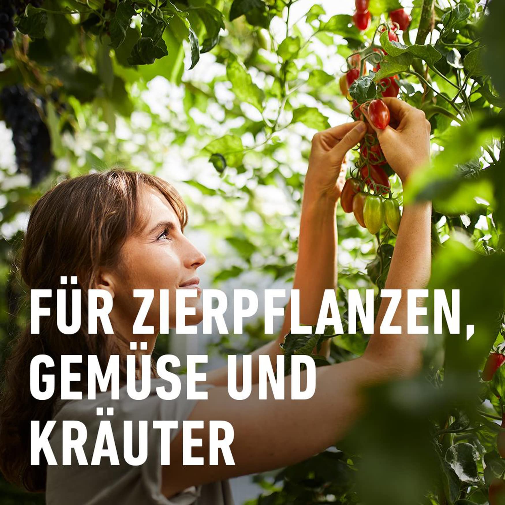 compo-sch-dlings-frei-plus-konzentrat-100-ml-insektizid-gegen-blattl-use-wolll-u image 4