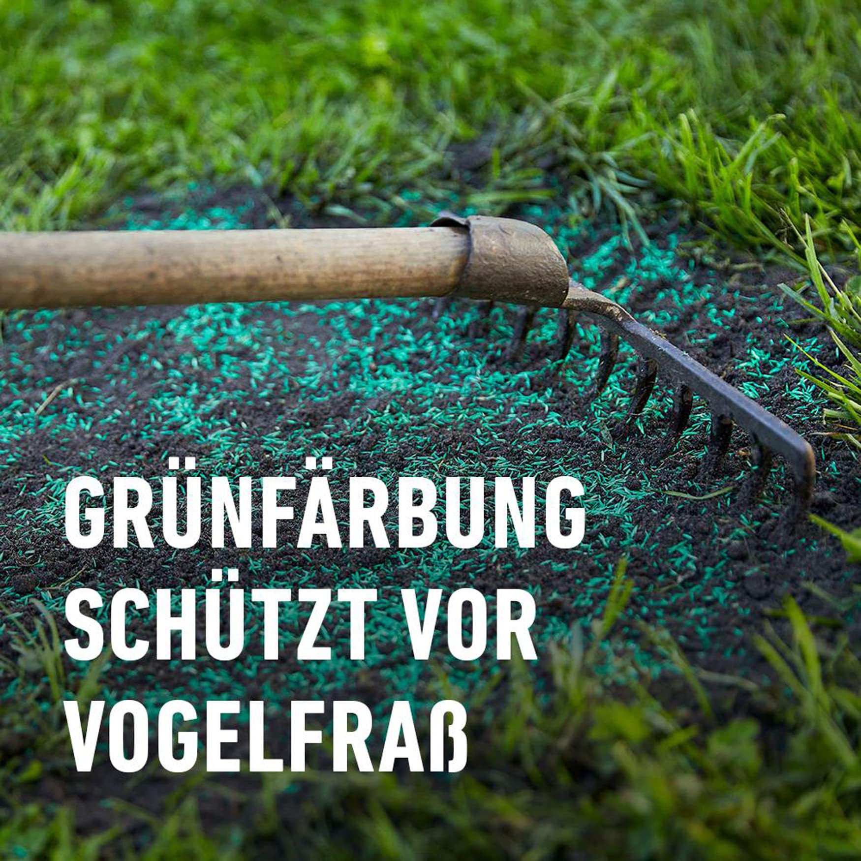 compo-saat-strapazier-rasen-2kg-f-r-100m-mit-keimbeschleuniger image 5