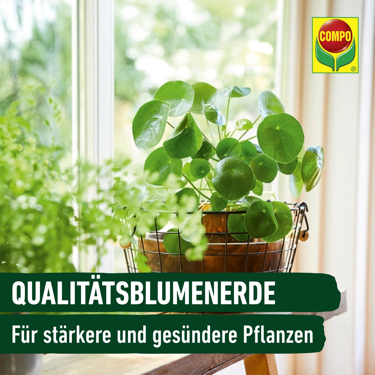 compo-sana-qualit-tsblumenerde-torffrei-40-l-50-leichter-10-wochen-n-hrstoffe image 4