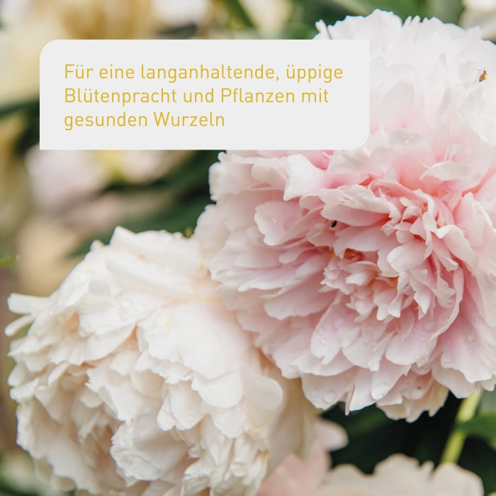 plantura-bio-blumend-nger-1-5-kg-granulat-mit-langzeitwirkung image 2