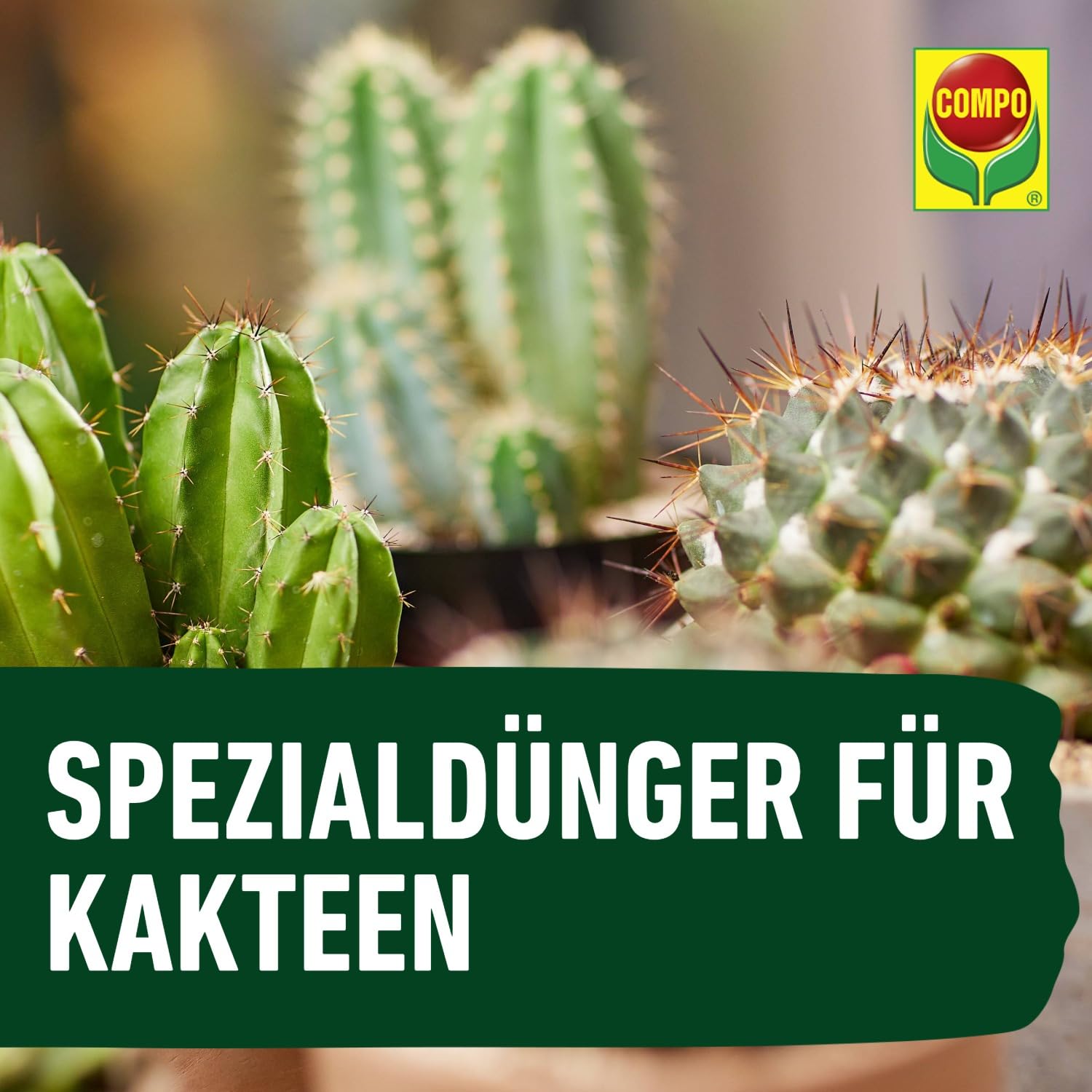 compo-kakteen-und-sukkulentend-nger-250-ml-fl-ssigd-nger image 5