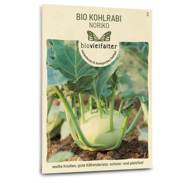 plantura-bio-kohlrabi-noriko-bio-saatgut image 1