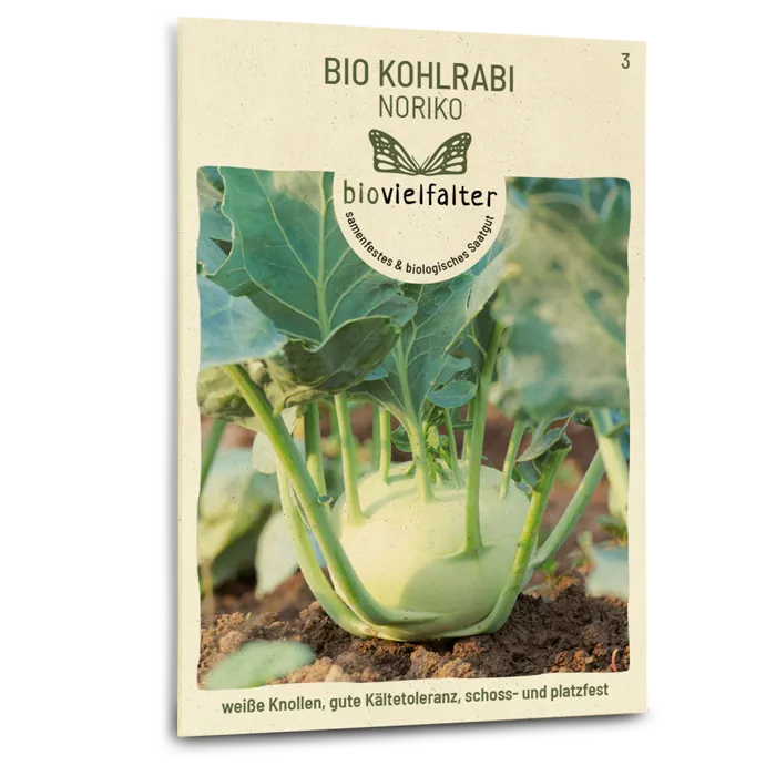 plantura-bio-kohlrabi-noriko-bio-saatgut image 1