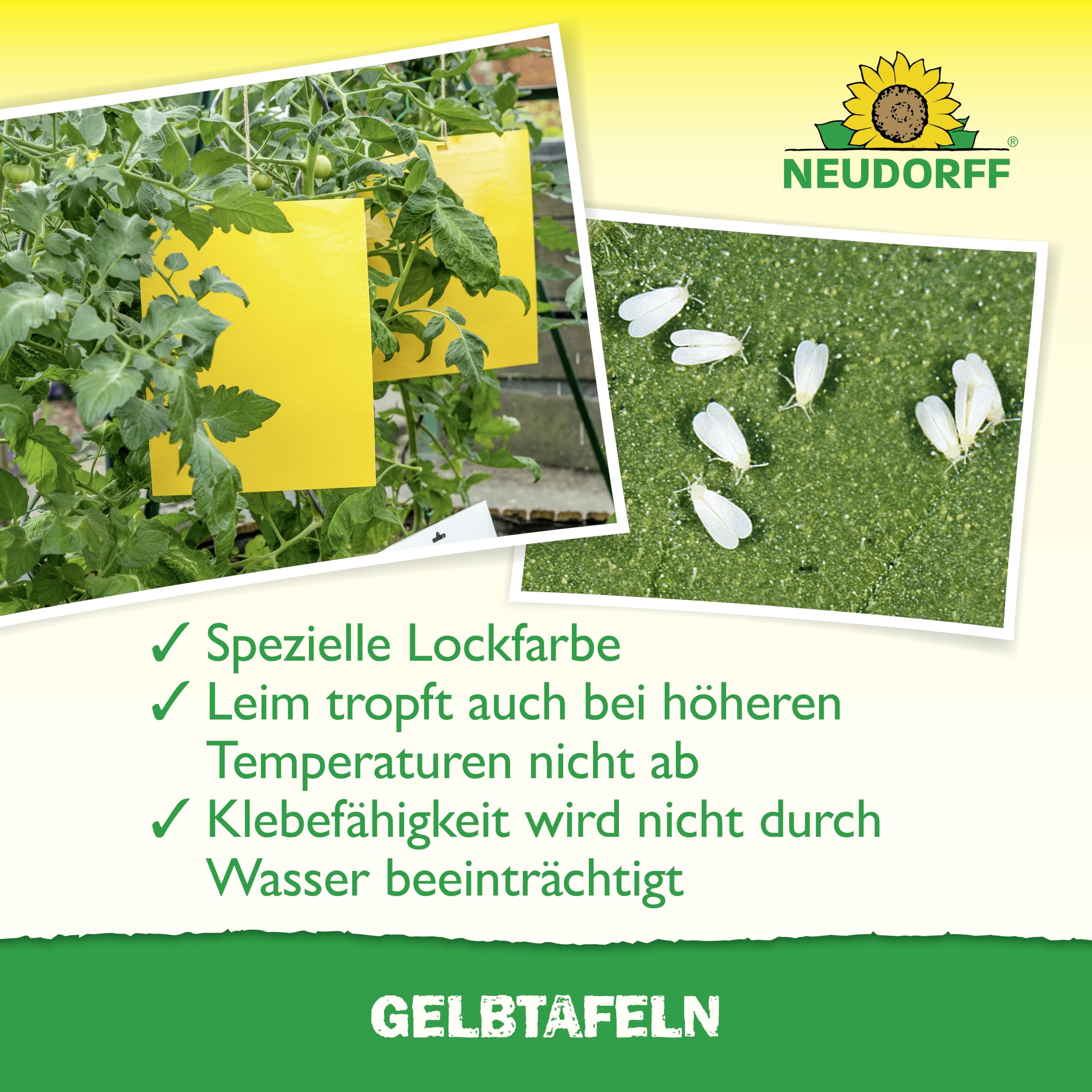 neudorff-gelbtafeln-gro-formatig-5-st-ck-gegen-trauerm-cken-und-wei-e-fliegen image 5
