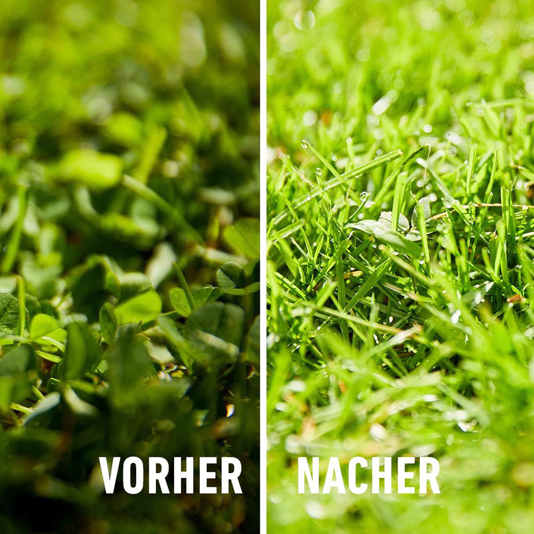 compo-rasend-nger-gegen-unkraut-moos-komplett-pflege-9-kg-f-r-300-m image 6