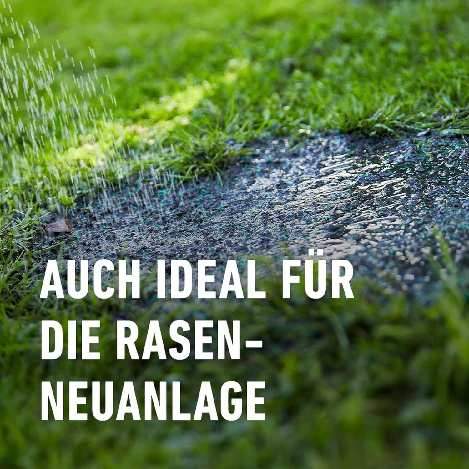 compo-saat-trocken-rasen-2-kg-f-r-80-m-rsm-2-2-2 image 4
