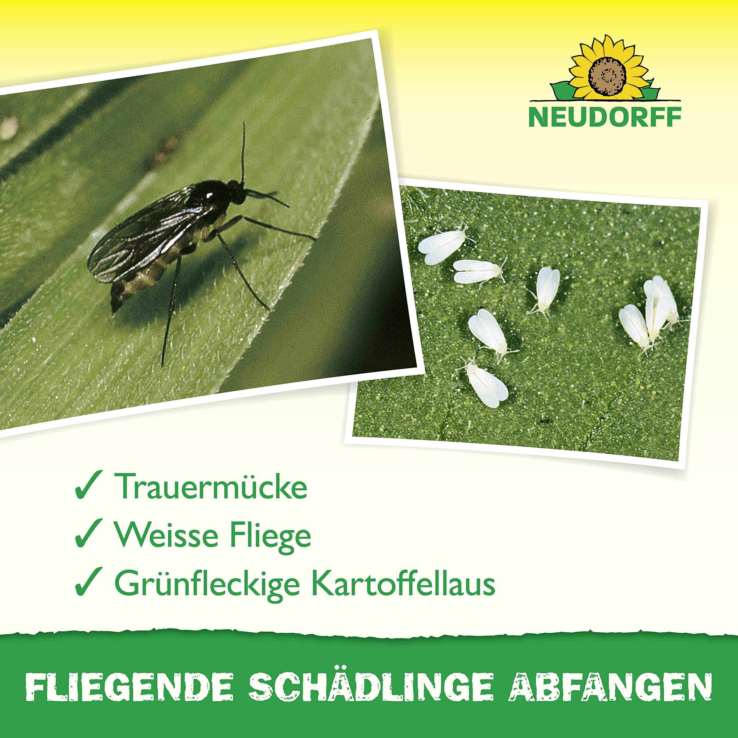 neudorff-gelbsticker-gegen-trauerm-cken-10-st-ck image 4