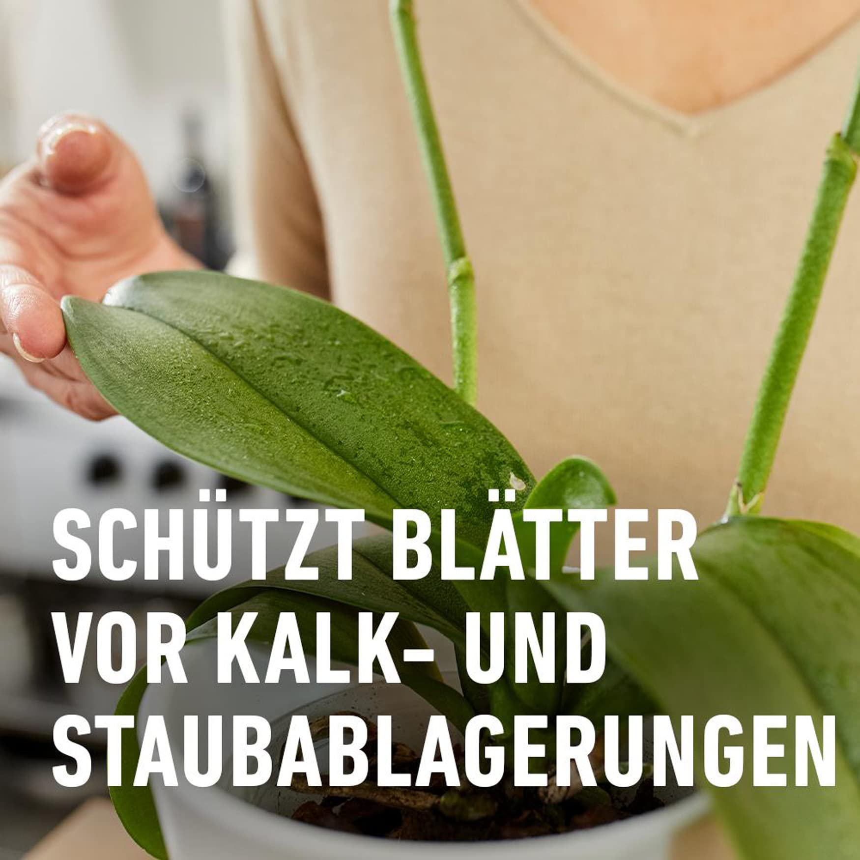 compo-blattpflege-f-r-orchideen-250-ml-spr-hflasche image 4