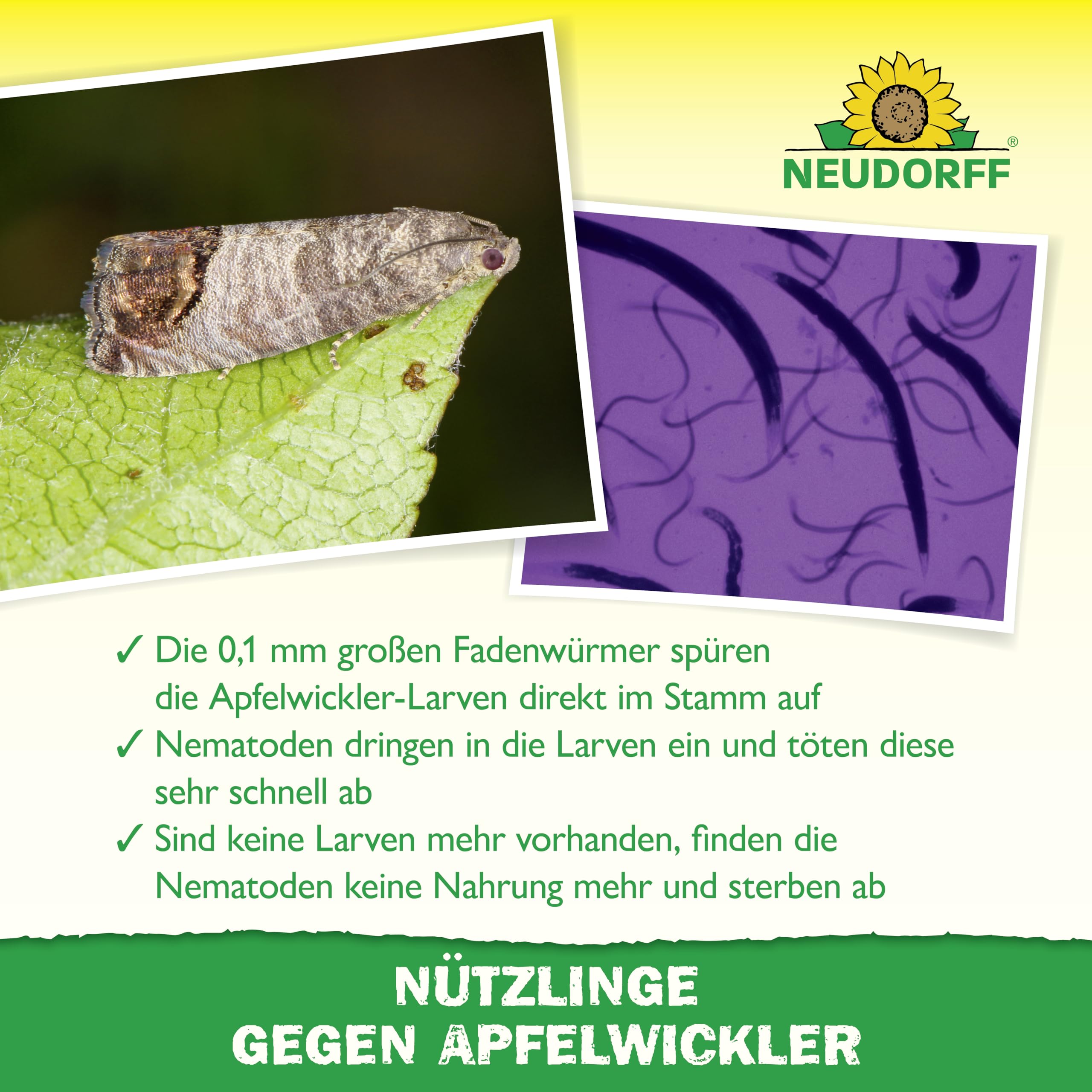 neudorff-n-tzlinge-gegen-apfelwickler-sf-nematoden-5-mio-f-r-5-b-ume image 4