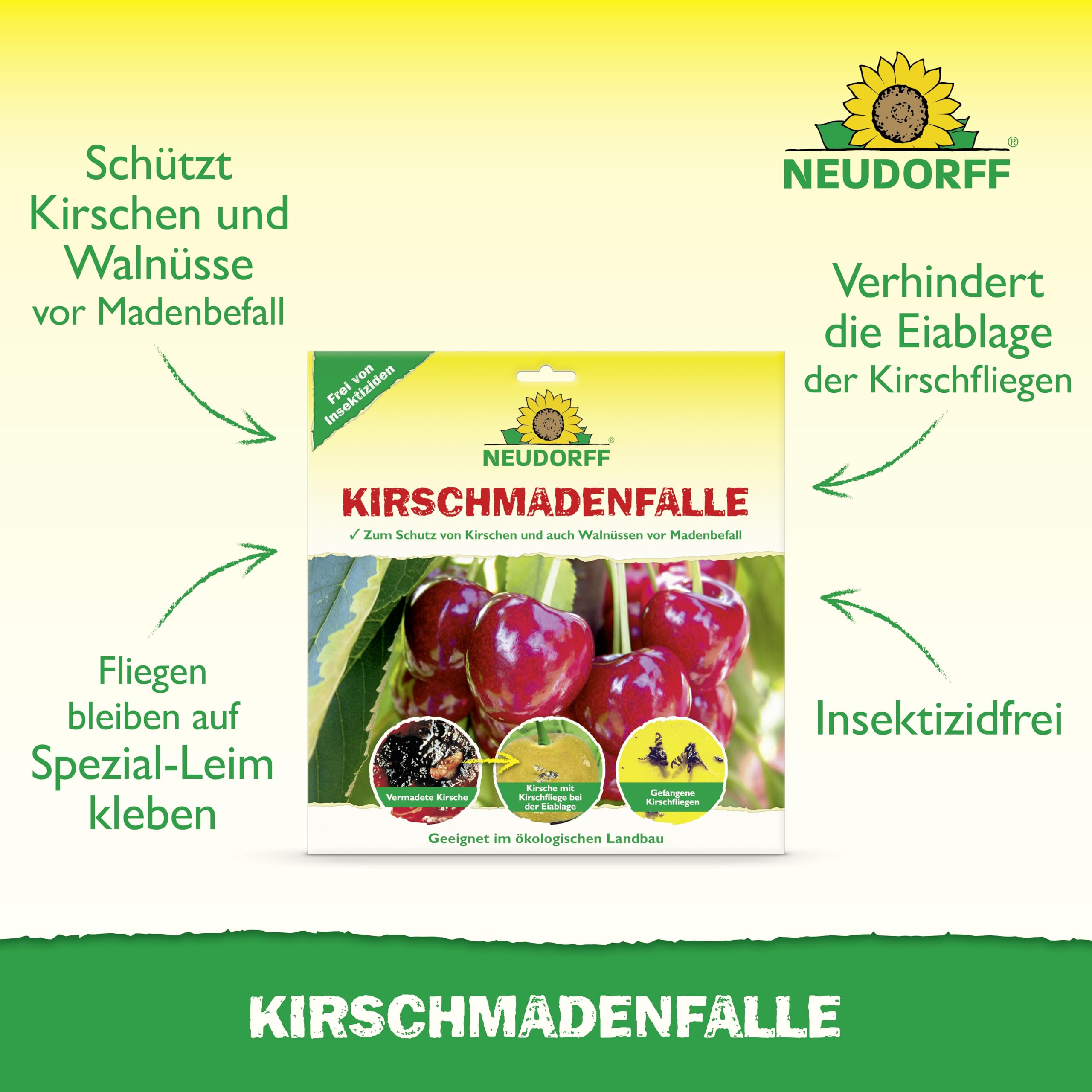 neudorff-kirschmadenfalle-7-st-ck-insektizidfreie-leimfalle-f-r-kirschen-und-wal image 2