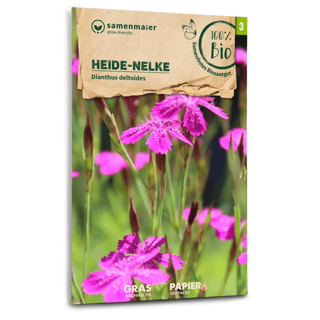 plantura-bio-heide-nelke-wildblume-bio-saatgut image 1