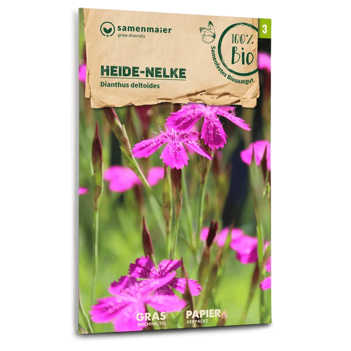 plantura-bio-heide-nelke-wildblume-bio-saatgut image 1