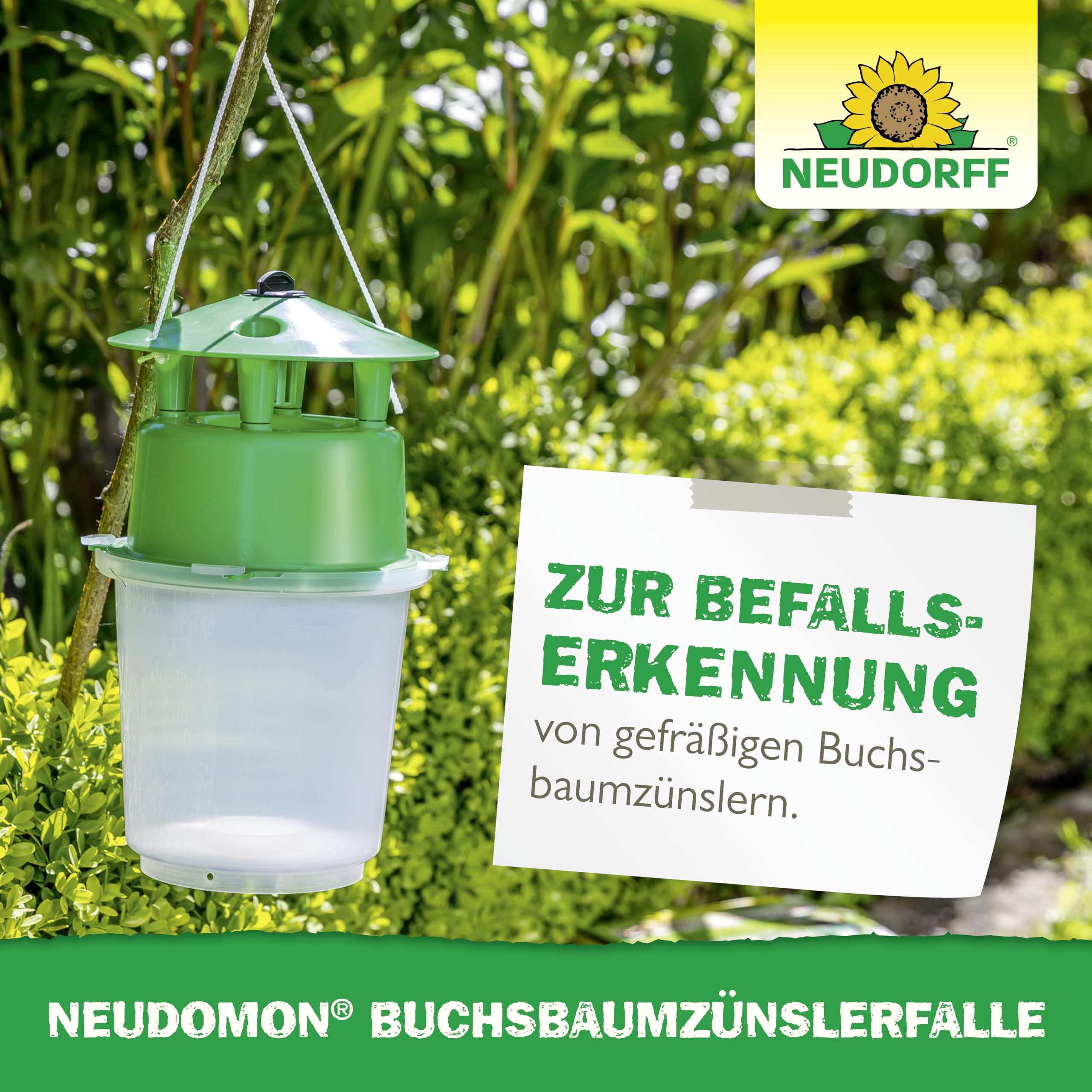 neudorff-neudomon-buchsbaumz-nslerfalle-nachf-llbar-1-set image 6