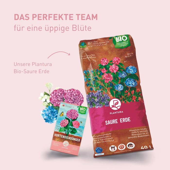 plantura-bio-hortensiend-nger-1-5-kg-organischer-granulatd-nger-npk-5-2-7-5 image 8