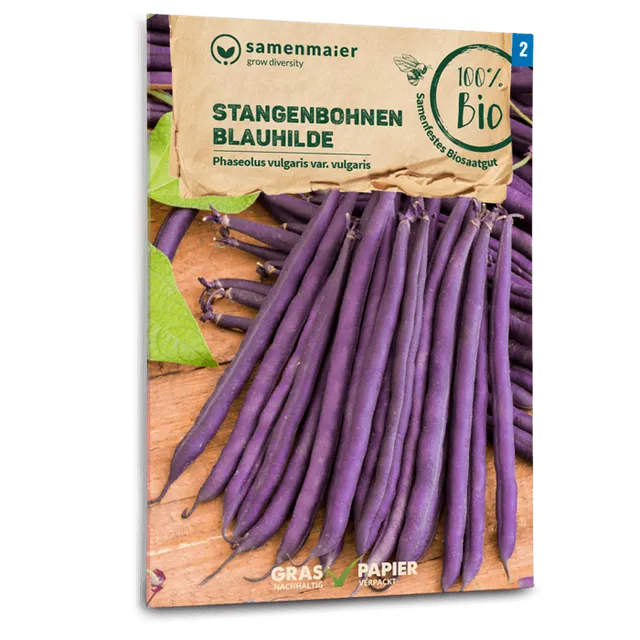 plantura-bio-stangenbohne-blauhilde-bio-saatgut image 1