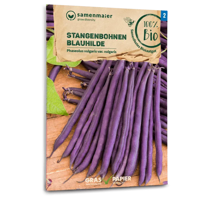 plantura-bio-stangenbohne-blauhilde-bio-saatgut image 1