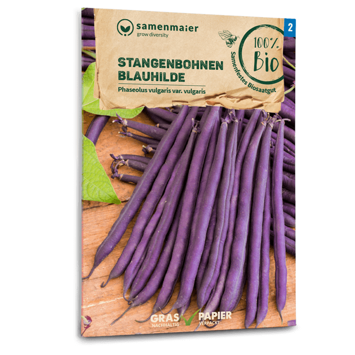 plantura-bio-stangenbohne-blauhilde-bio-saatgut image 1