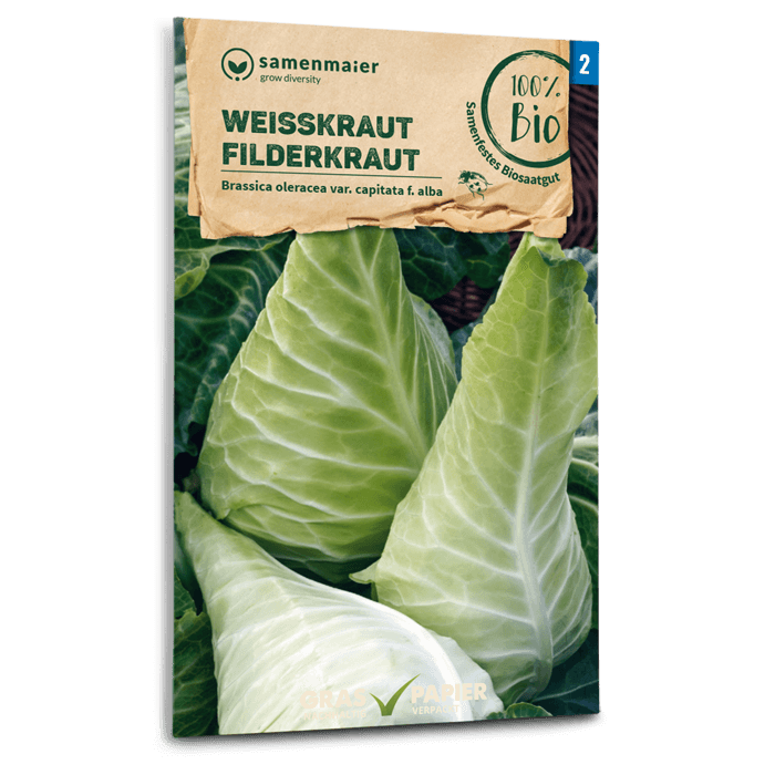 plantura-bio-wei-kohl-filderkraut-sp-t-bio-saatgut image 1