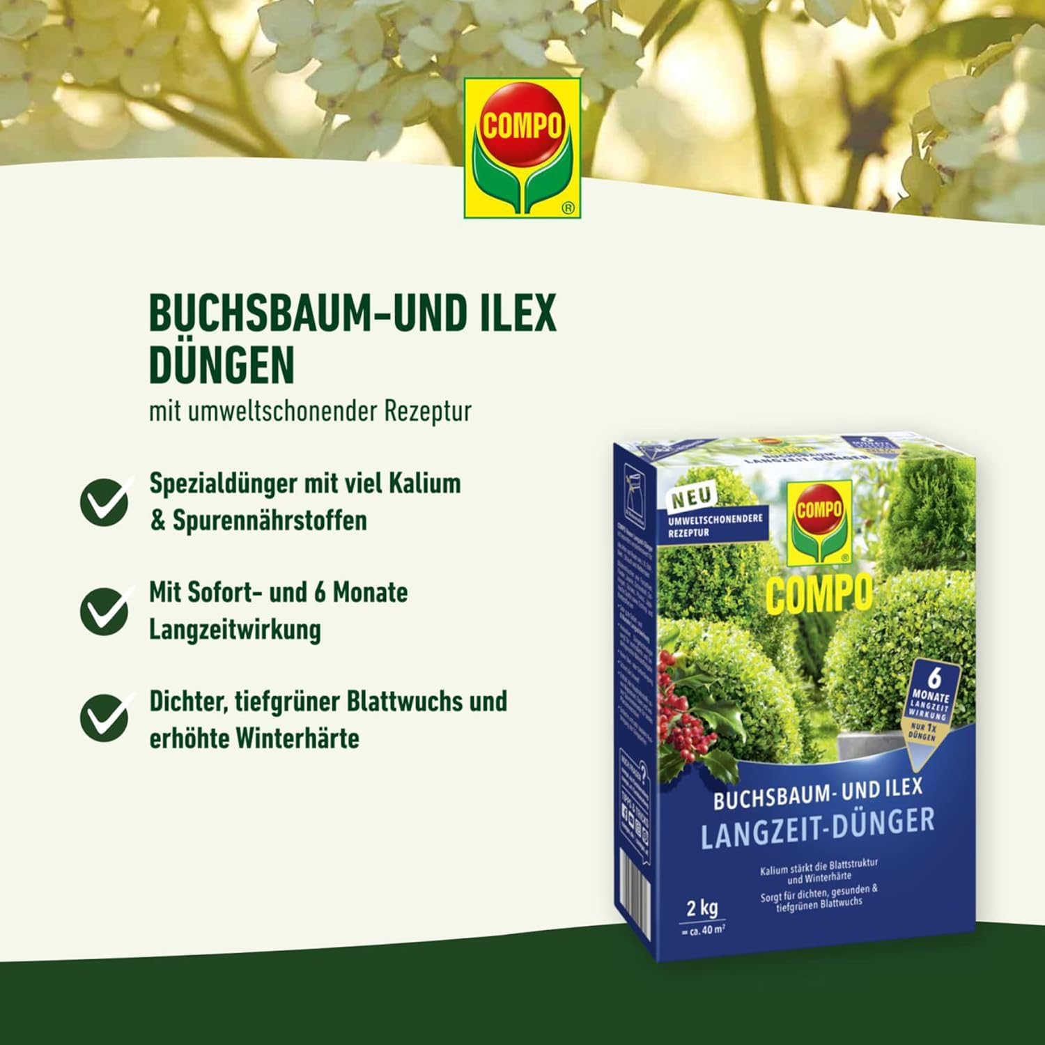 compo-buchsbaum-und-ilex-langzeit-d-nger-2-kg-f-r-bis-6-monate-wirkung image 2