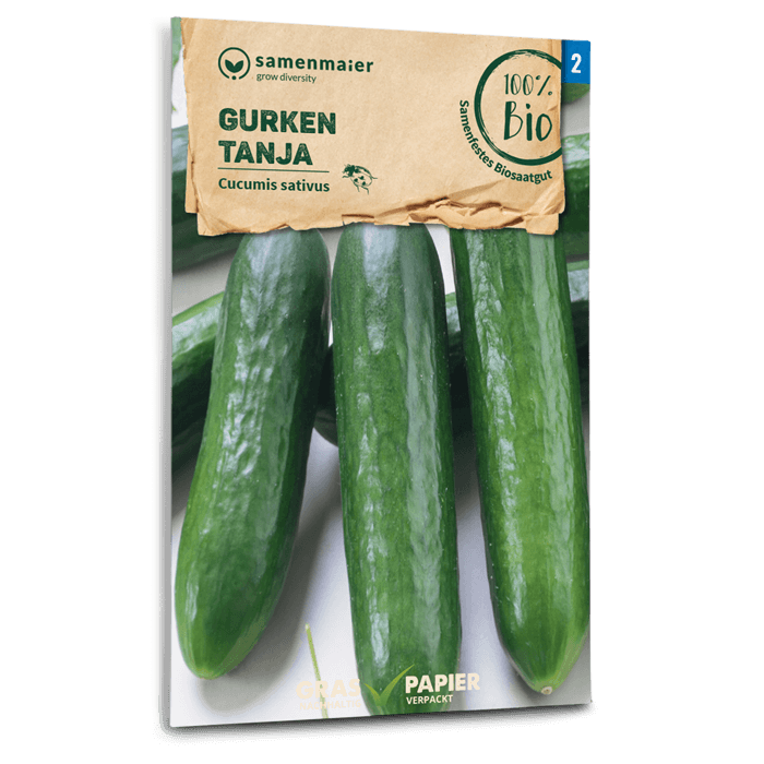plantura-bio-salatgurke-tanja-bio-saatgut image 1