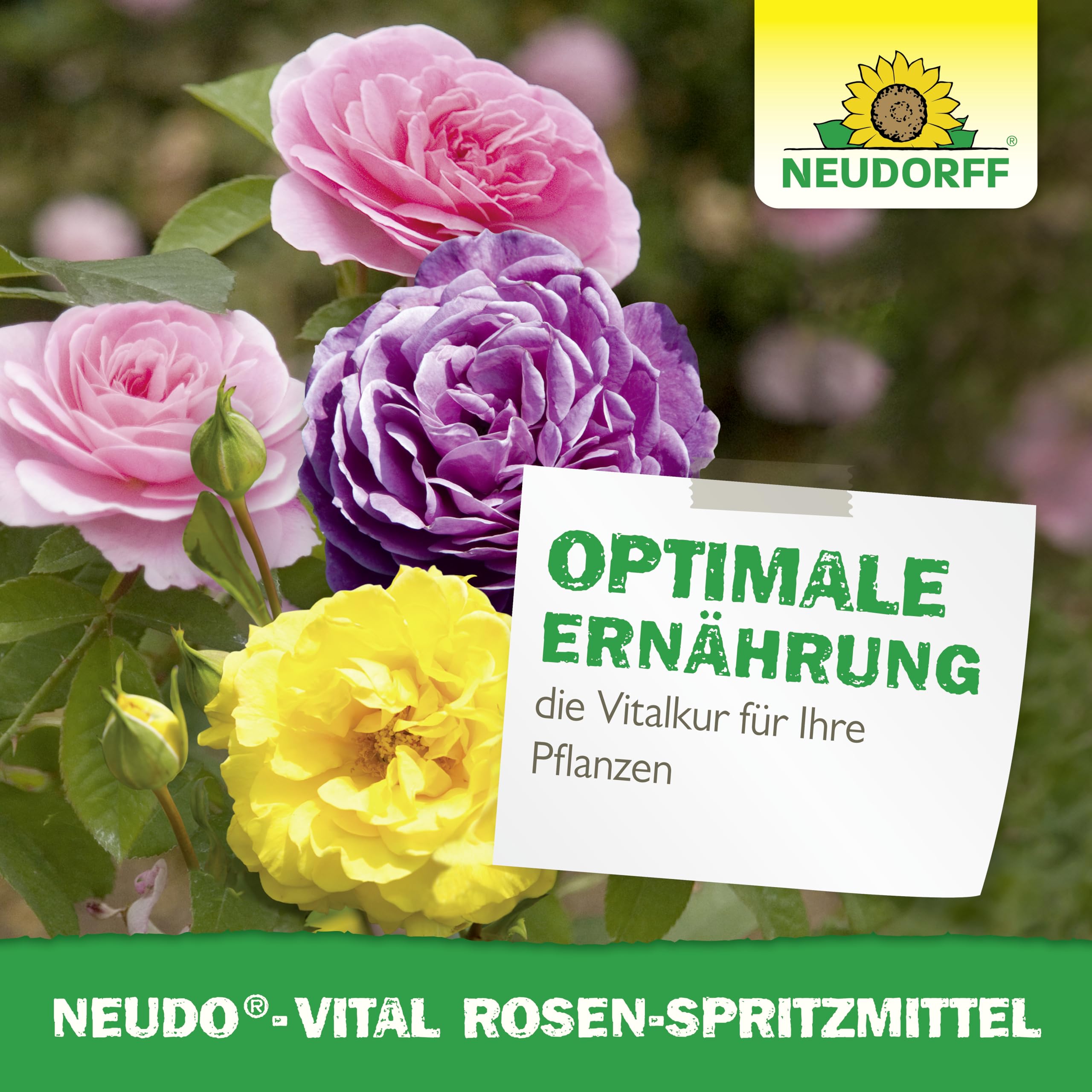 neudorff-neudo-vital-rosen-spritzmittel-konzentrat-250-ml-blattd-nger-f-r-25-l image 6