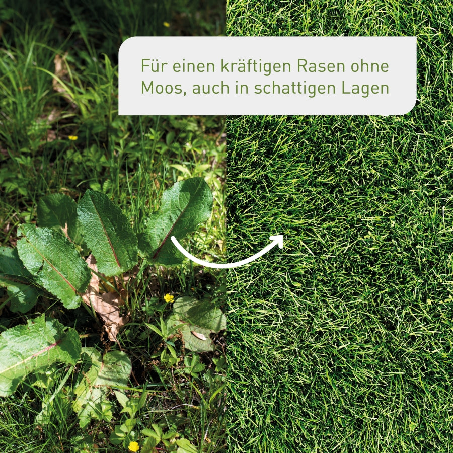 plantura-schattenrasen-2-kg-spezialmischung image 2