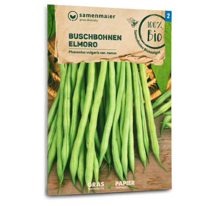 plantura-bio-buschbohne-elmoro-bio-saatgut image 1