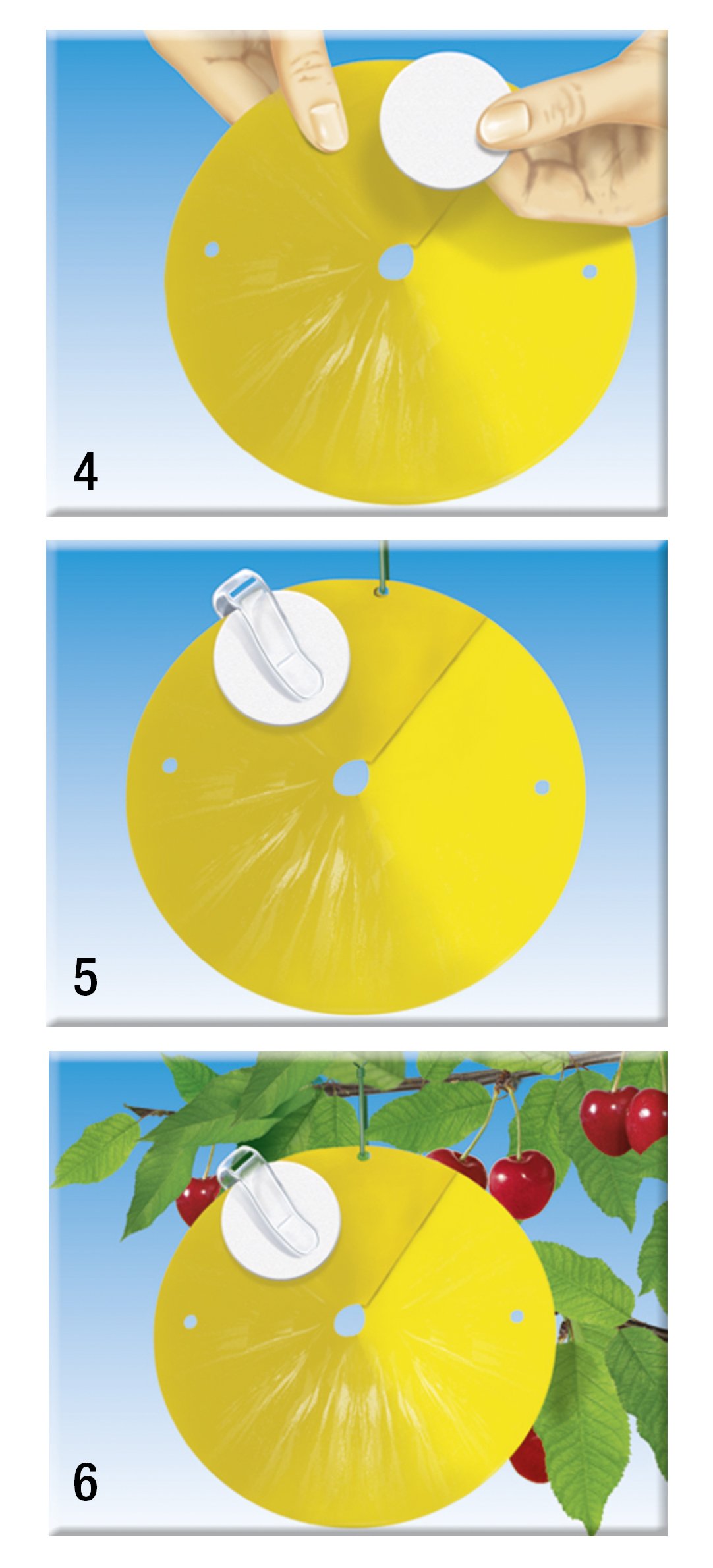 compo-bio-kirschfruchtfliegen-falle-3-st-ck-mit-lockstoff-gegen-maden image 5