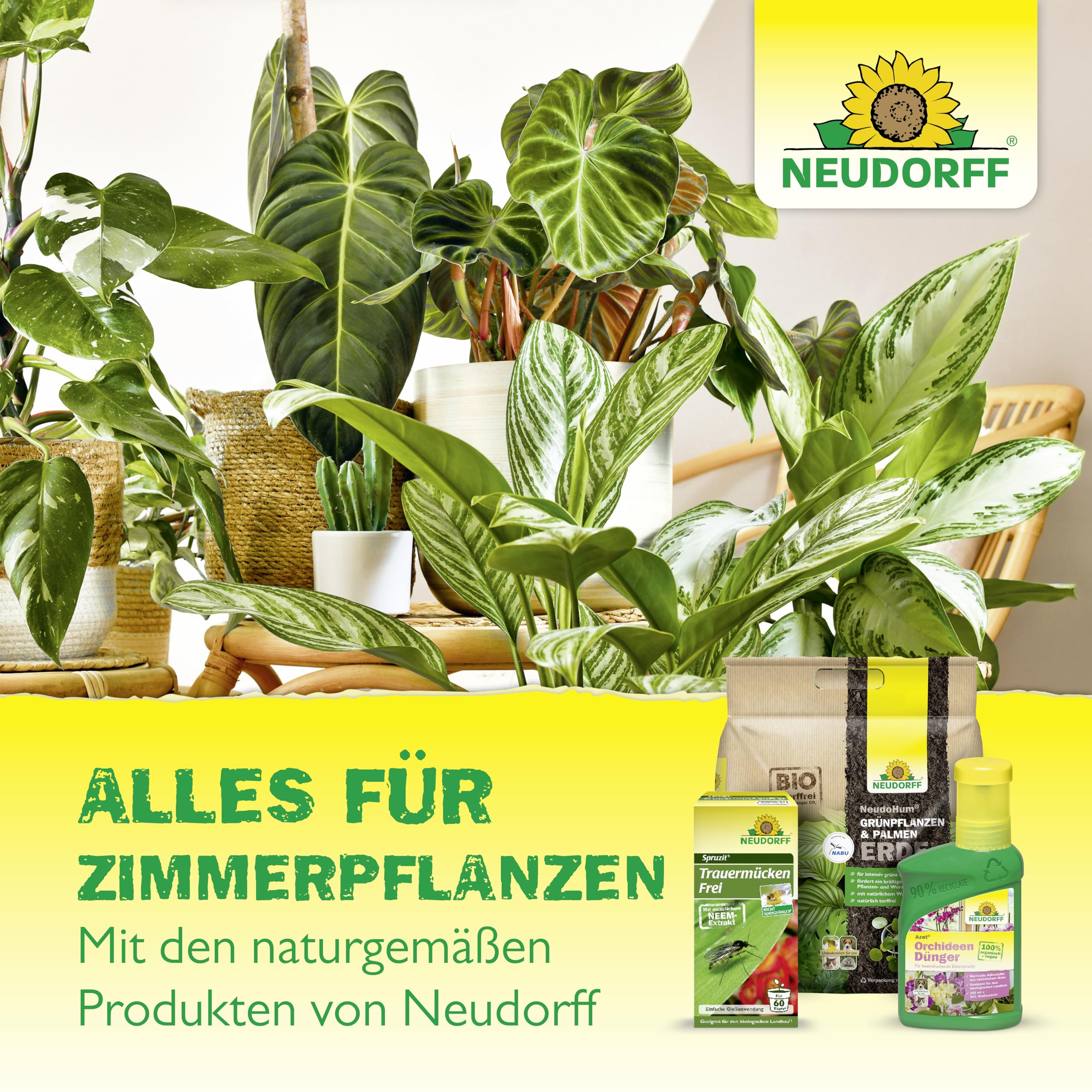 neudorff-gelbsticker-gegen-trauerm-cken-10-st-ck image 8