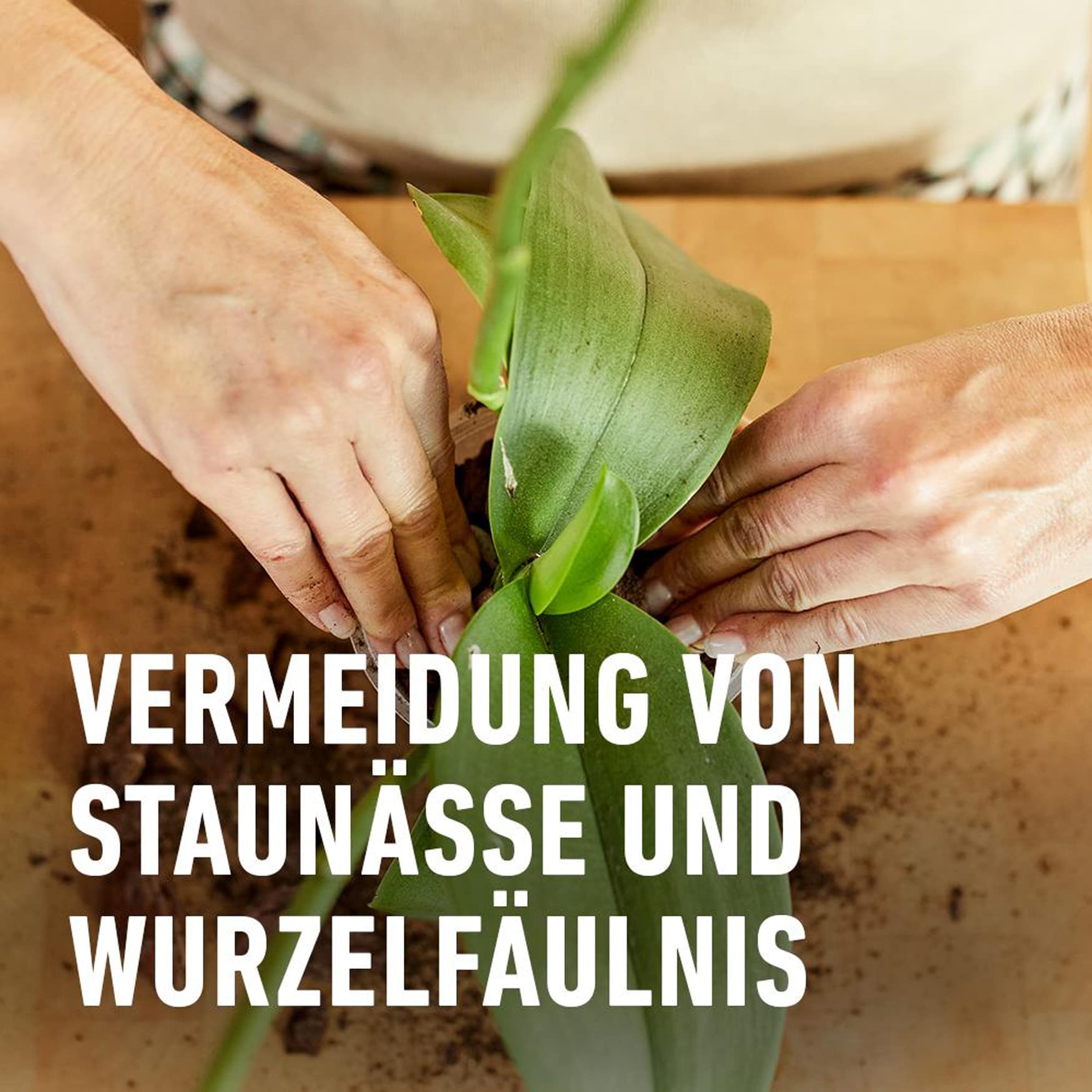 compo-sana-orchideenerde-10-l-mit-8-wochen-startd-nger-pinienrinde image 4