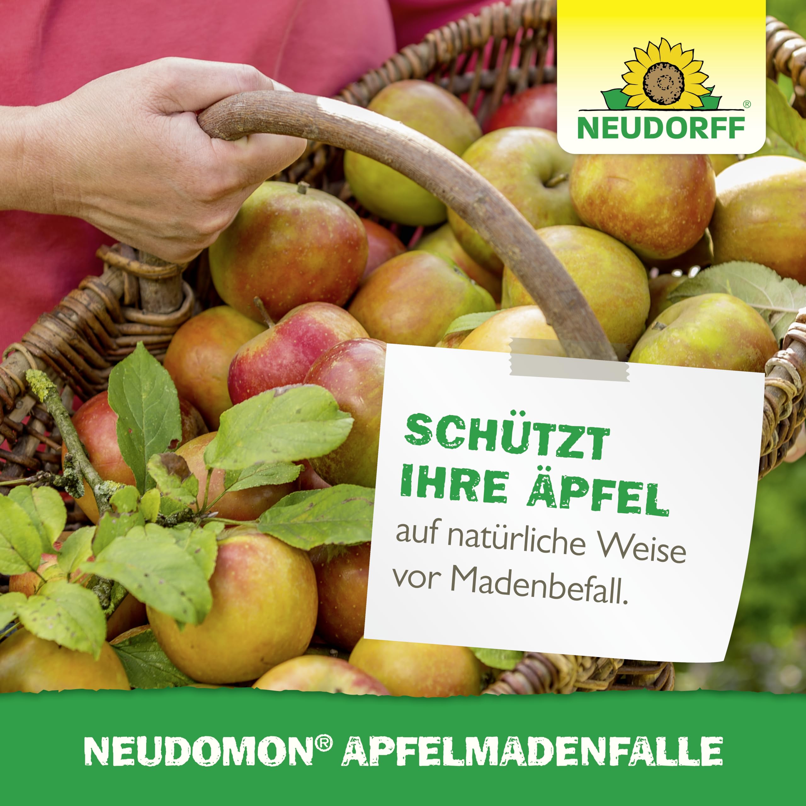 neudorff-neudomon-apfelmadenfalle-nachf-llbare-pheromon-leimfalle-gegen-apfelwic image 6