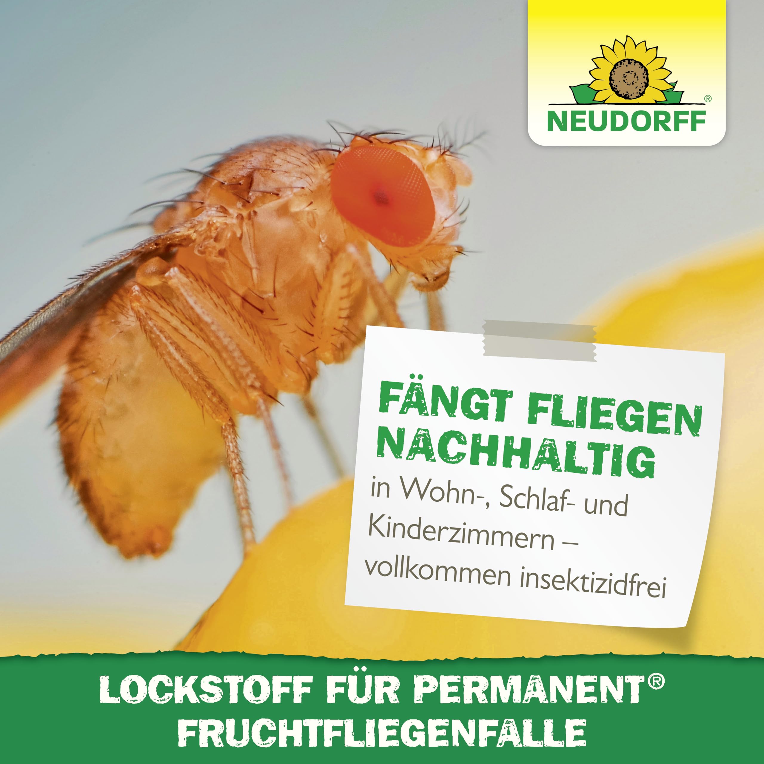 neudorff-permanent-lockstoff-nachf-llpack-fruchtfliegenfalle-2-x-30-ml image 6