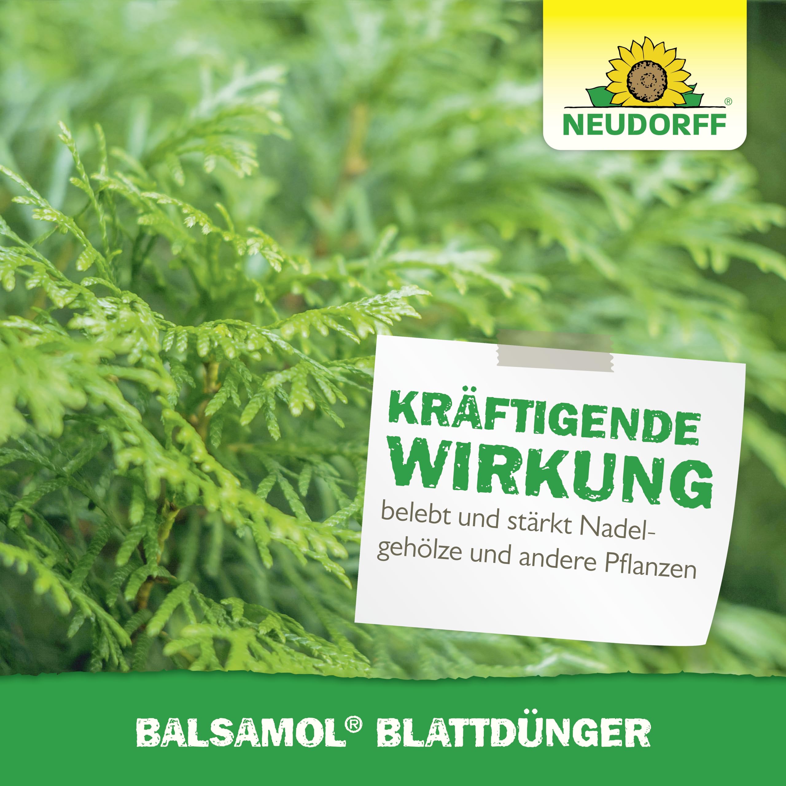 neudorff-balsamol-blattd-nger-konzentrat-250-ml-f-r-bis-zu-80-liter image 6