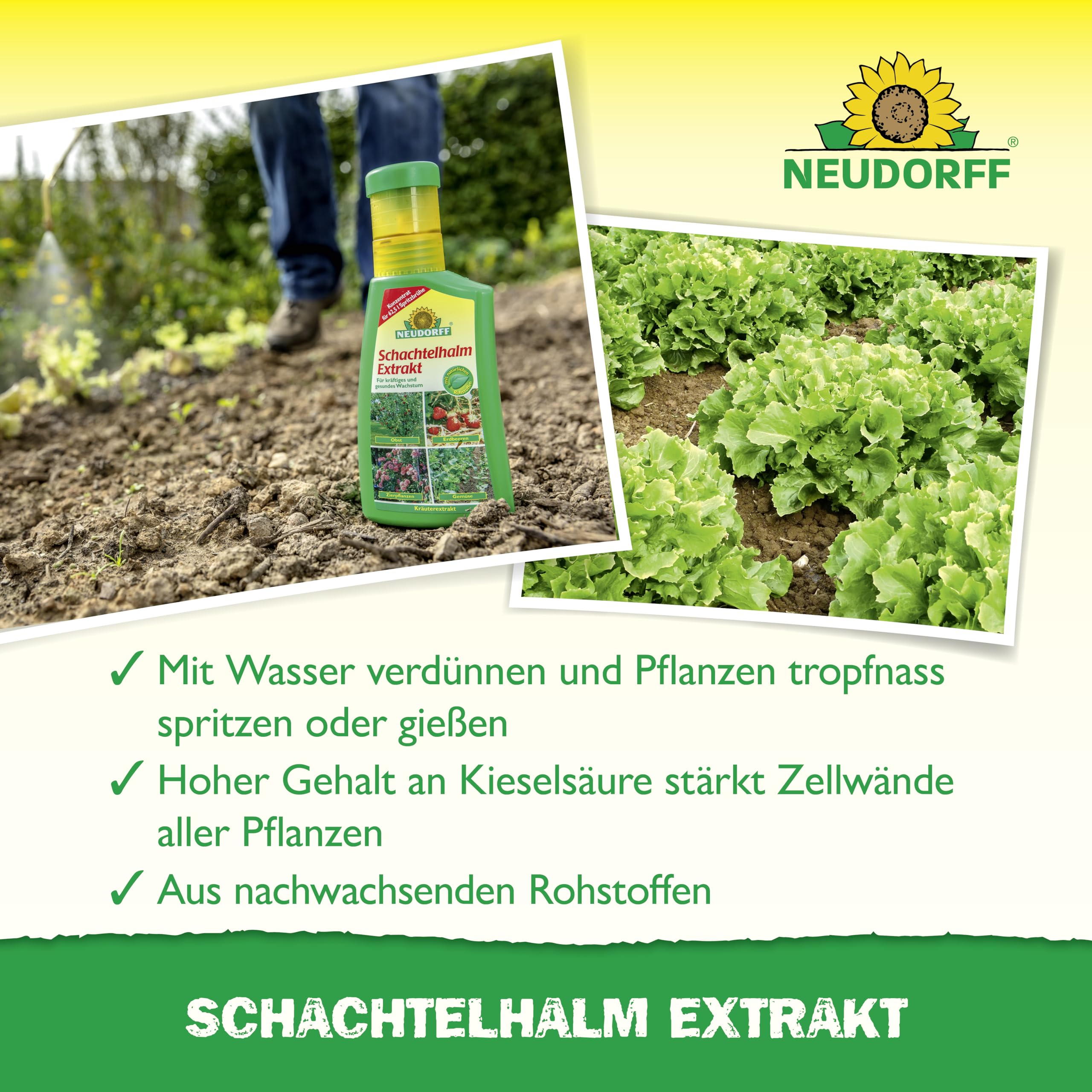 neudorff-schachtelhalm-extrakt-250-ml-kr-uterextrakt-pflanzenst-rkung image 4