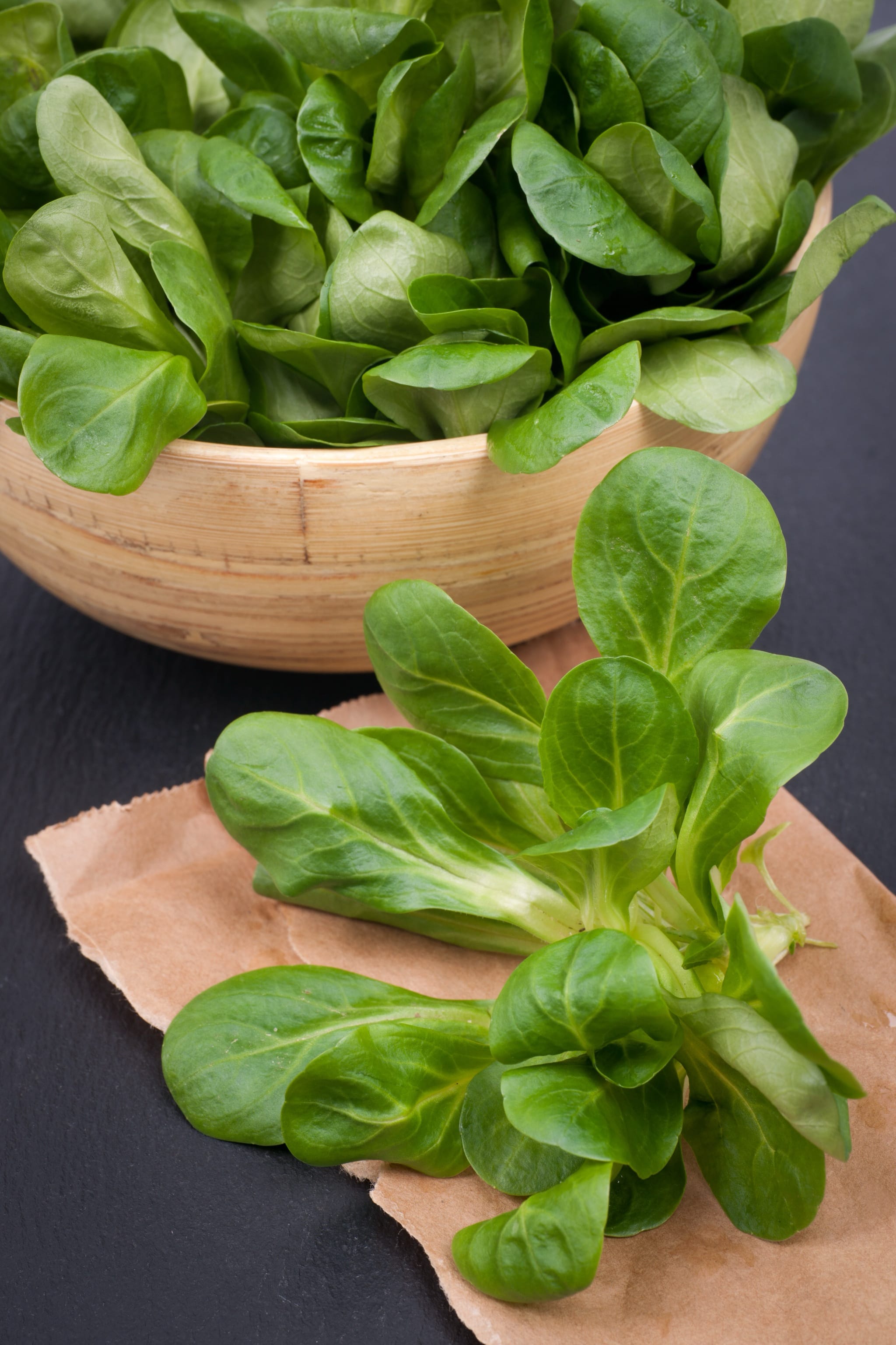 plantura-bio-feldsalat-vit-wintersalat-bio-saatgut image 2