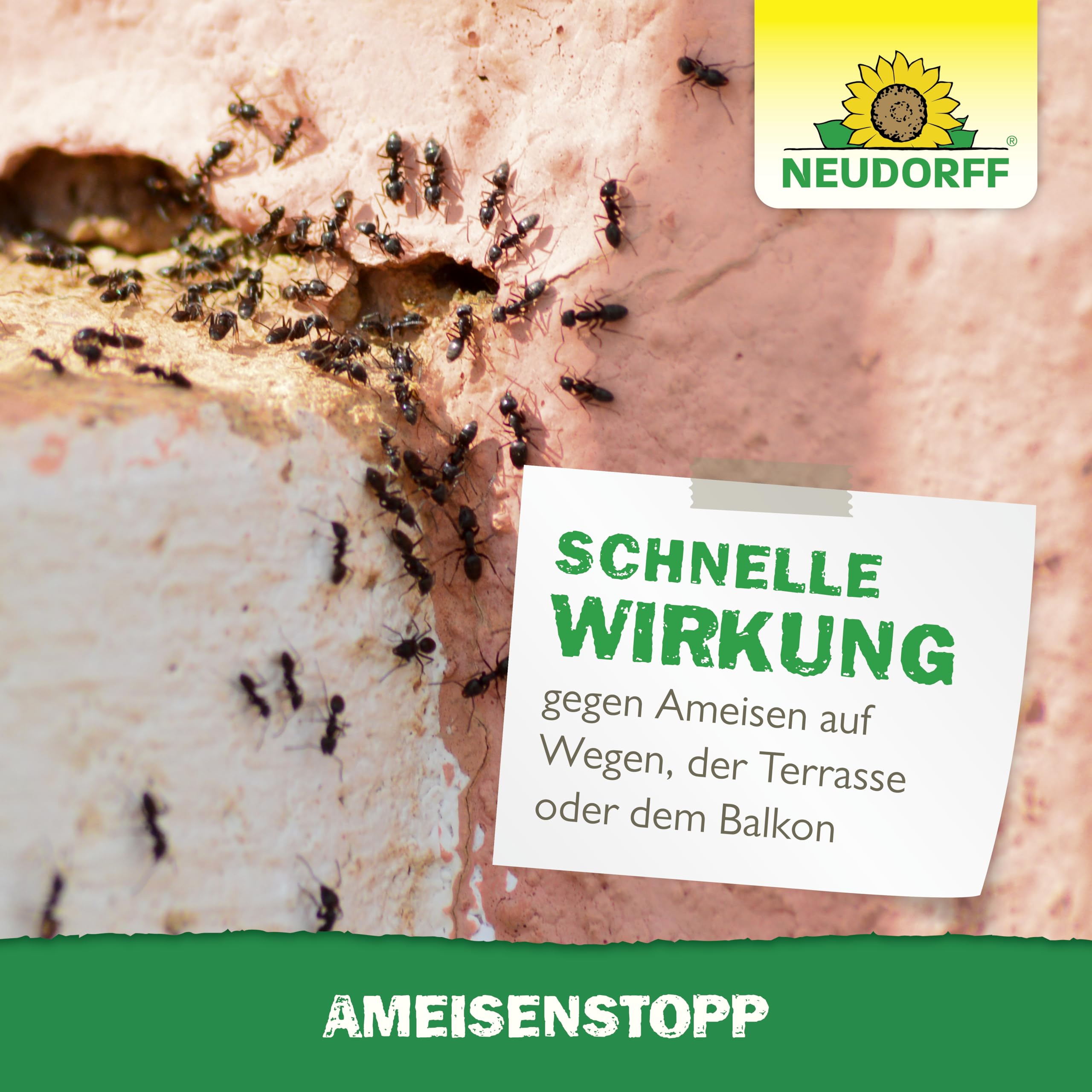 neudorff-loxiran-ameisenstopp-ameisenstreumittel-300-g image 6