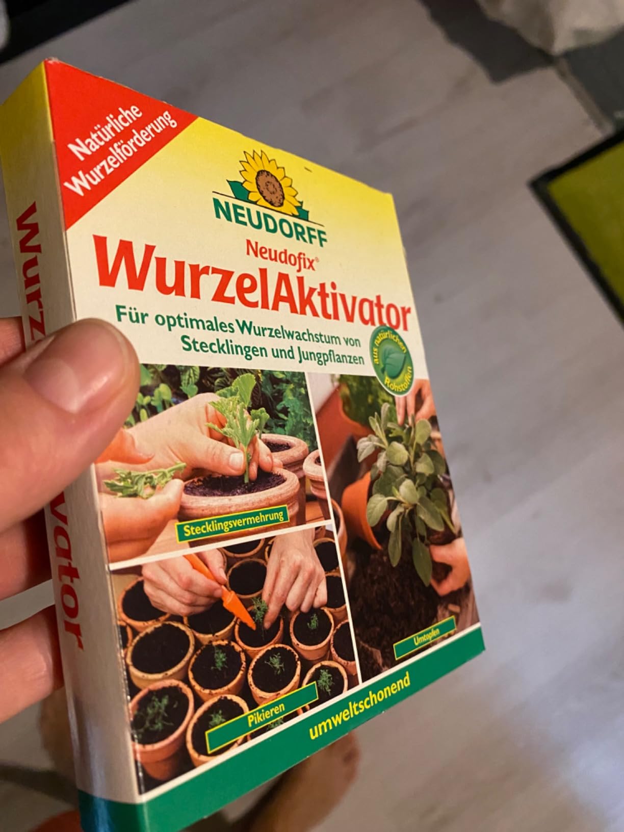 Mein Geheimtipp für Stecklinge
