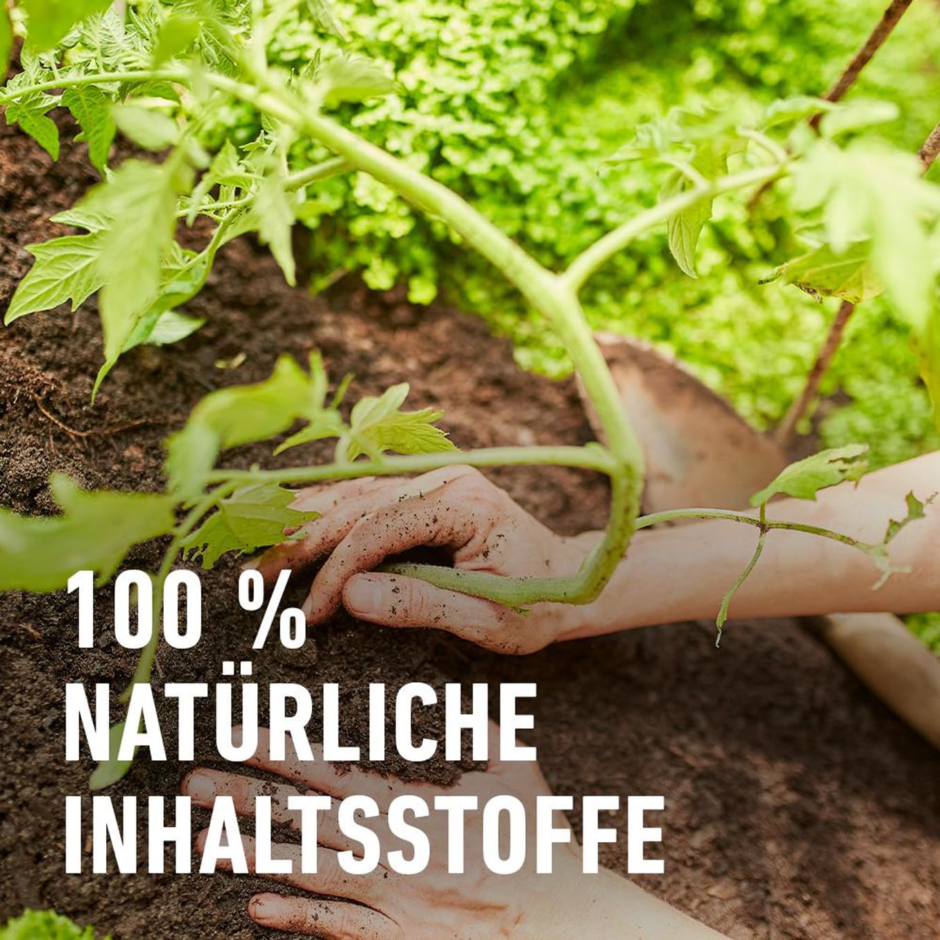 compo-bio-tomaten-und-gem-seerde-torffrei-20-l image 5