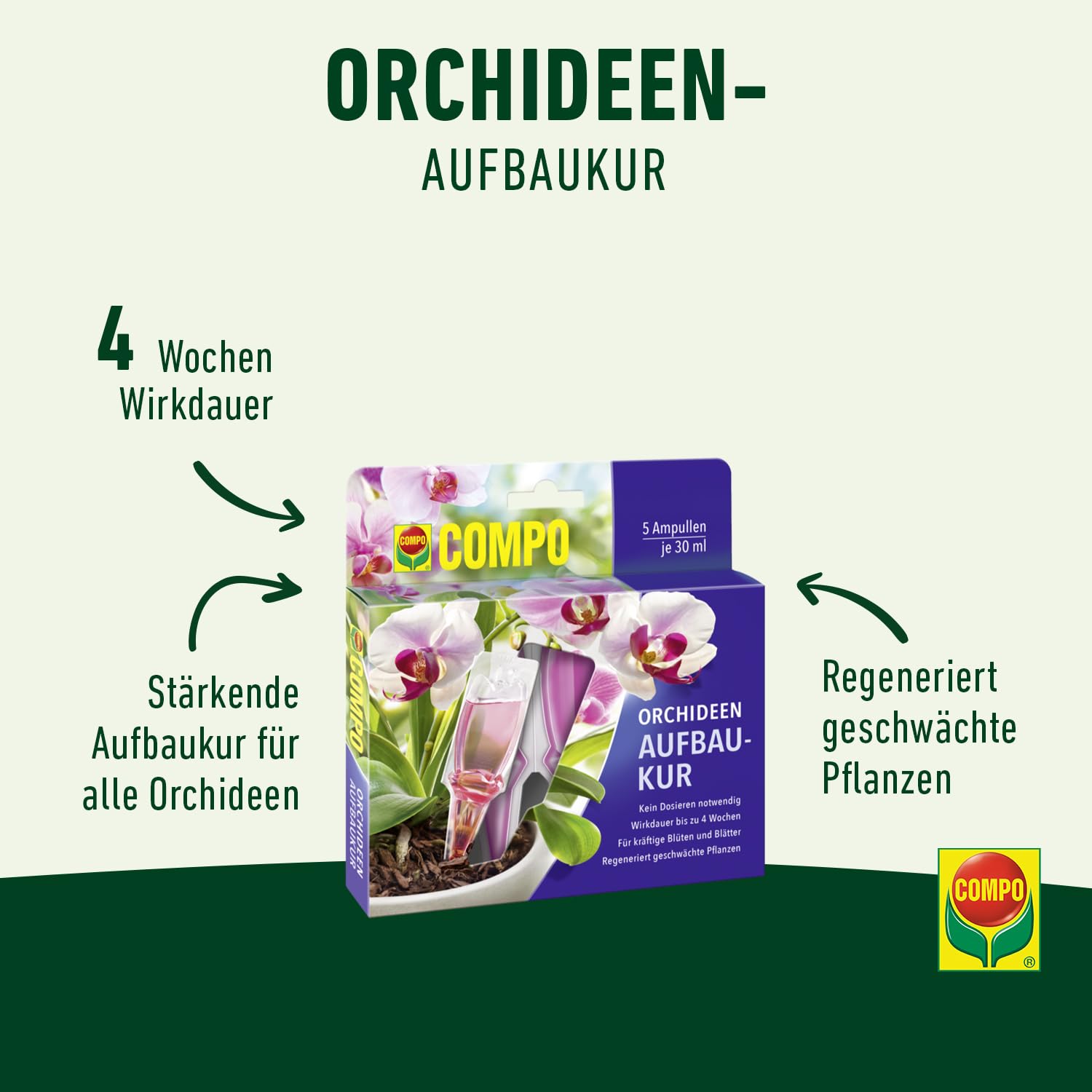 compo-orchideen-aufbaukur-fl-ssigd-nger-5-x-30-ml image 2