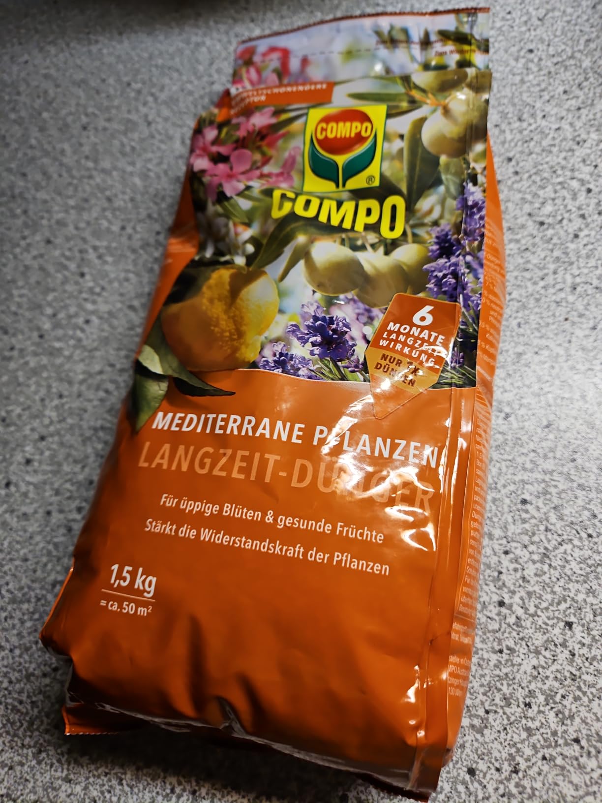 Endlich gesunde Zitrusbäume