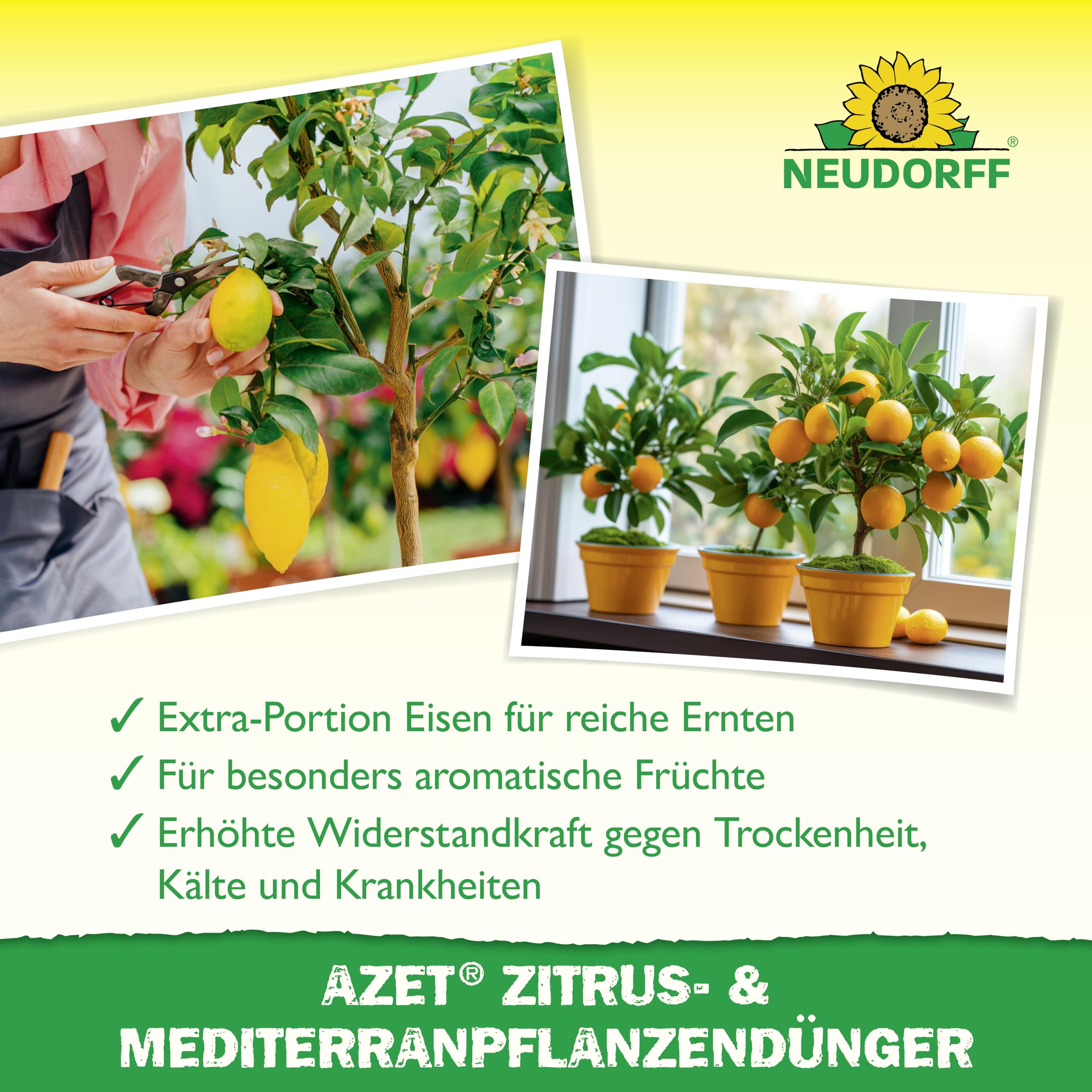 neudorff-azet-zitrus-mediterranpflanzend-nger-750-g-bio-langzeitd-nger-npk-7-3-6 image 4