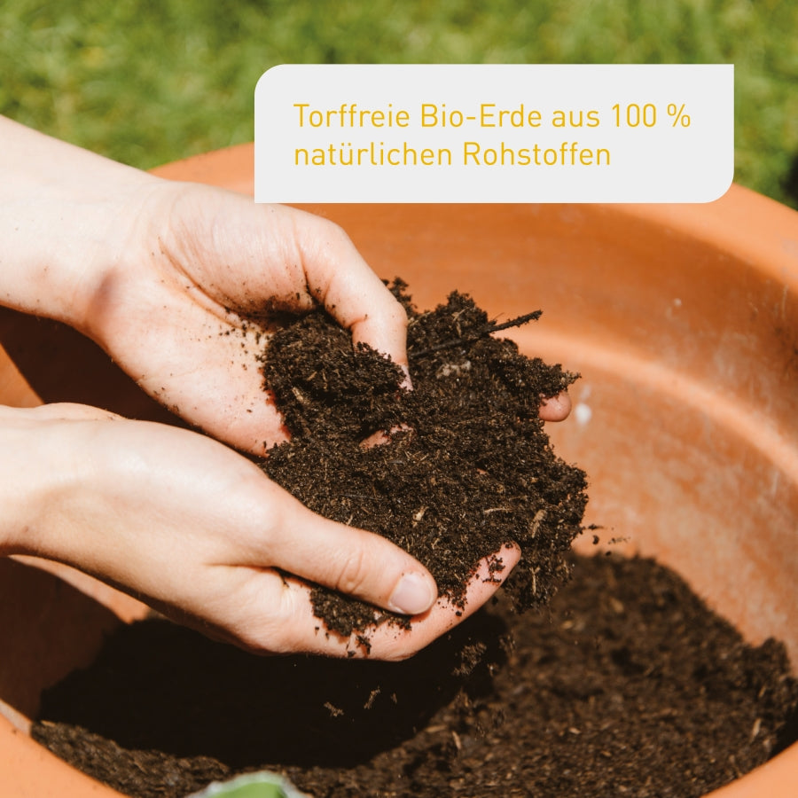 plantura-bio-blumenerde-palette-60-x-40-l-torffrei image 4