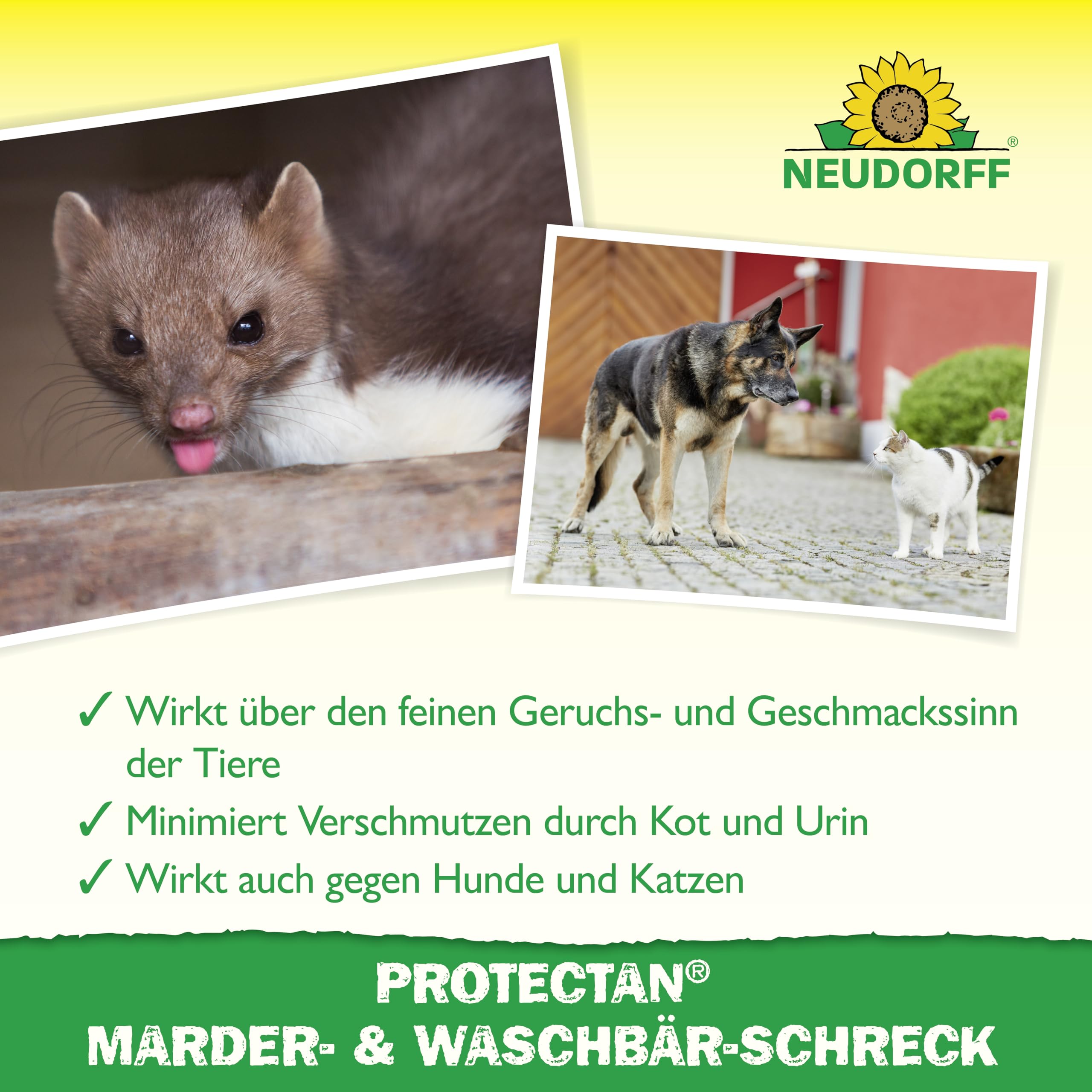 neudorff-protectan-marder-waschb-r-schreck-300-g-f-r-150-m image 4