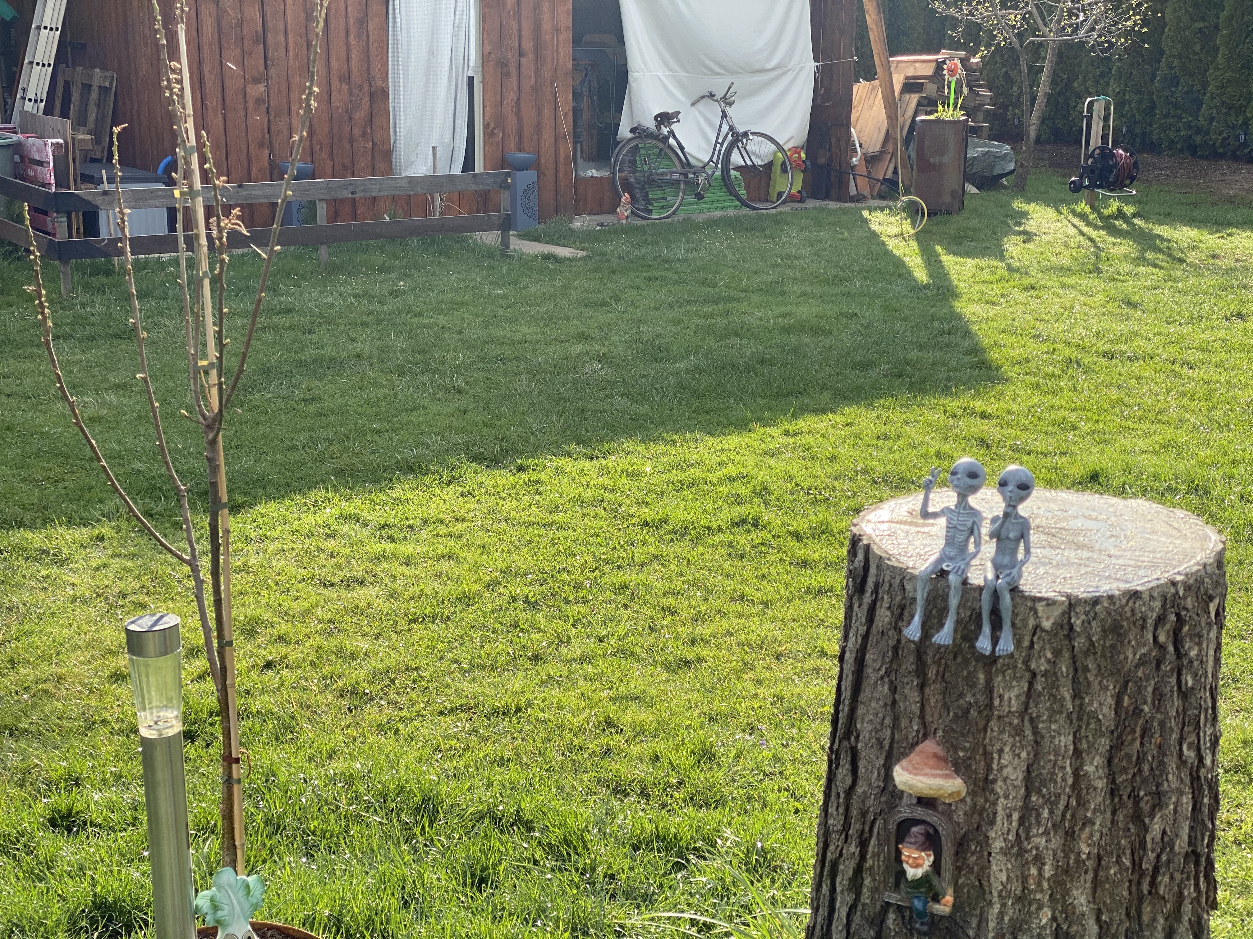 Dicht und grün