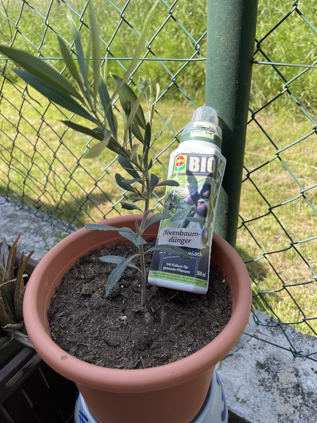 Vegan und gut verträglich