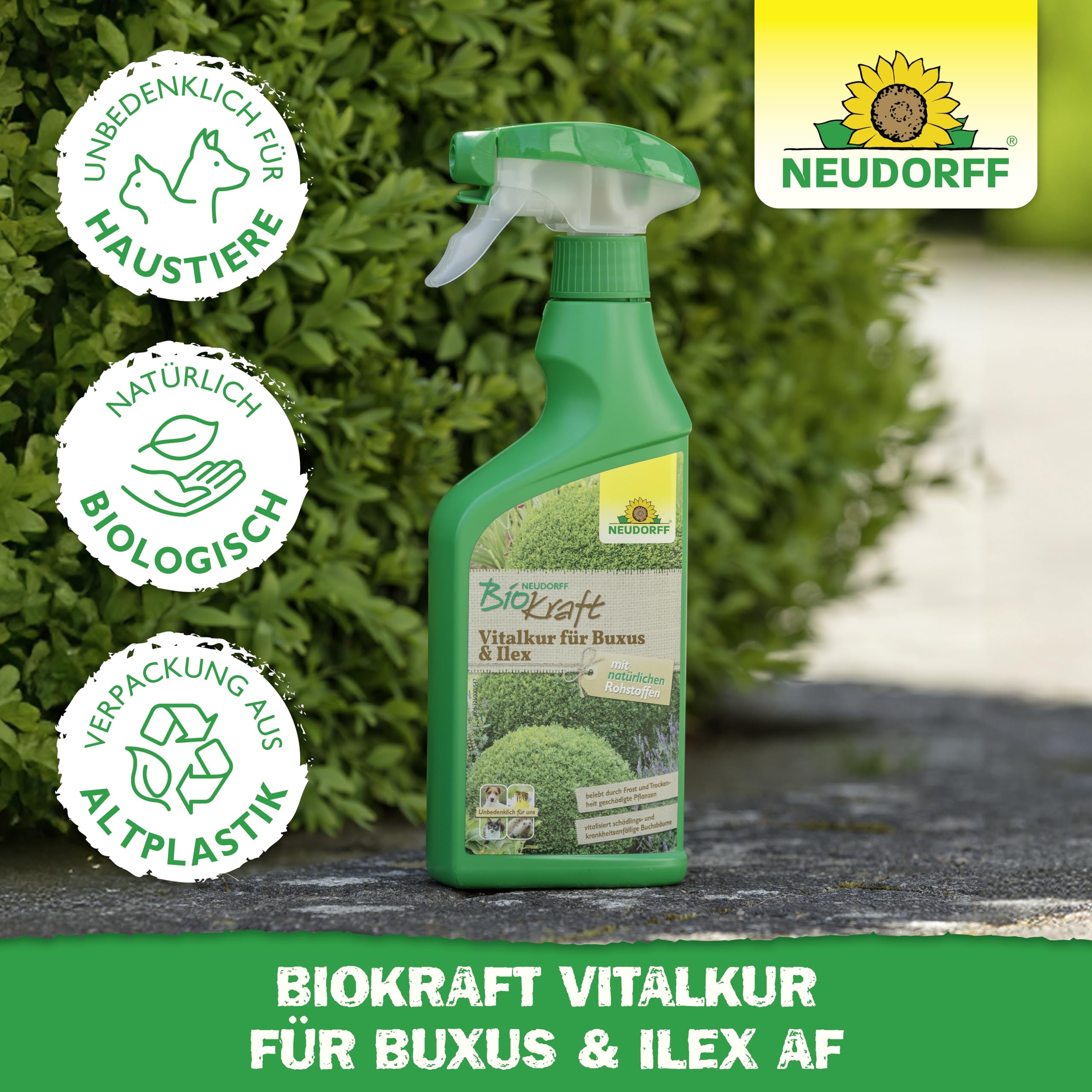 neudorff-biokraft-vitalkur-f-r-buxus-ilex-af-spray-500-ml image 5