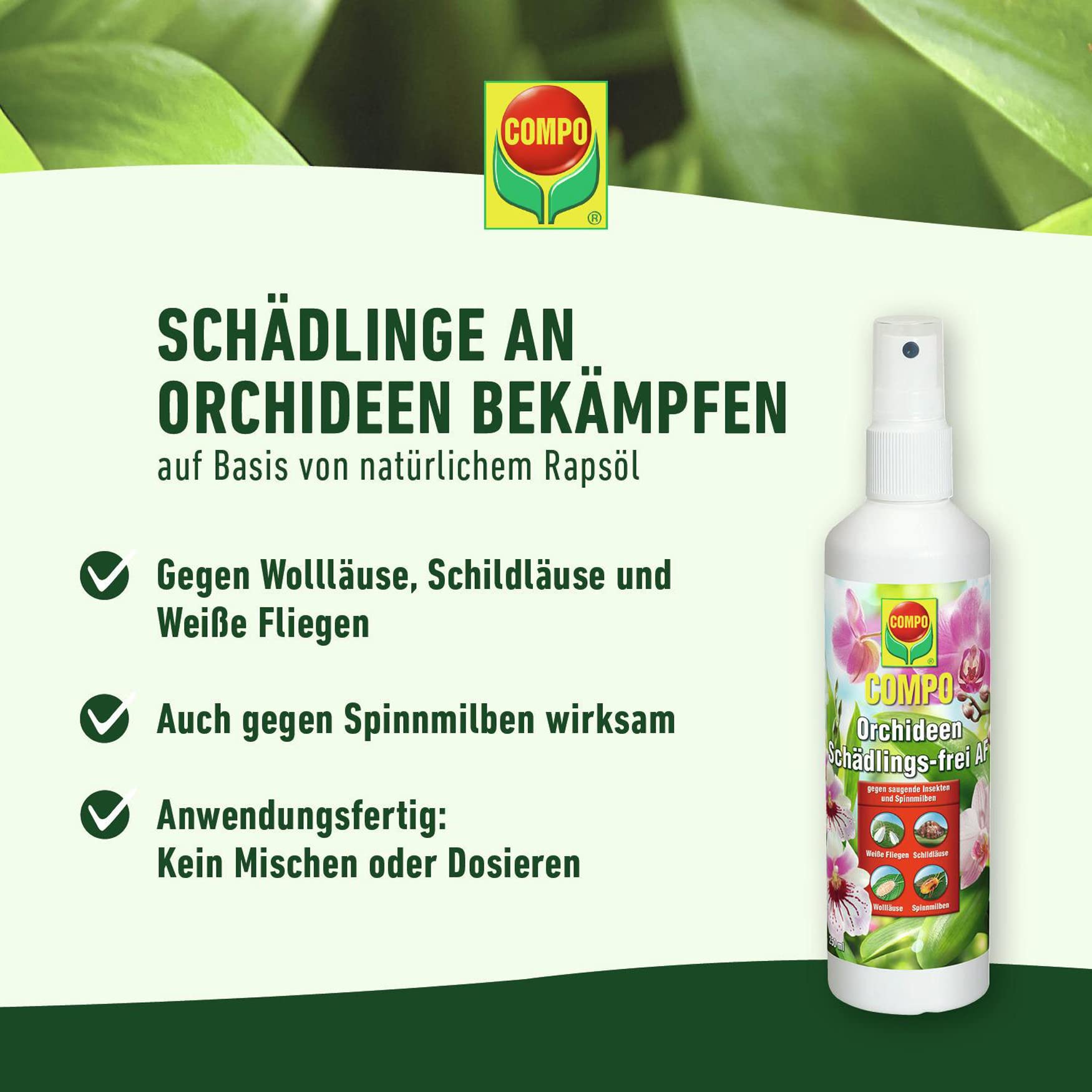 compo-orchideen-sch-dlings-frei-af-250-ml-kontaktinsektizid-spr-hflasche image 2